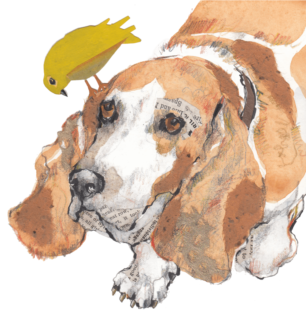 Basset Hound 桌布 壁紙 — 一幅水彩插圖，描繪了一隻巴吉度獵犬，頭頂棲息著一隻黃色小鳥，兩者都裝飾著報紙剪報。