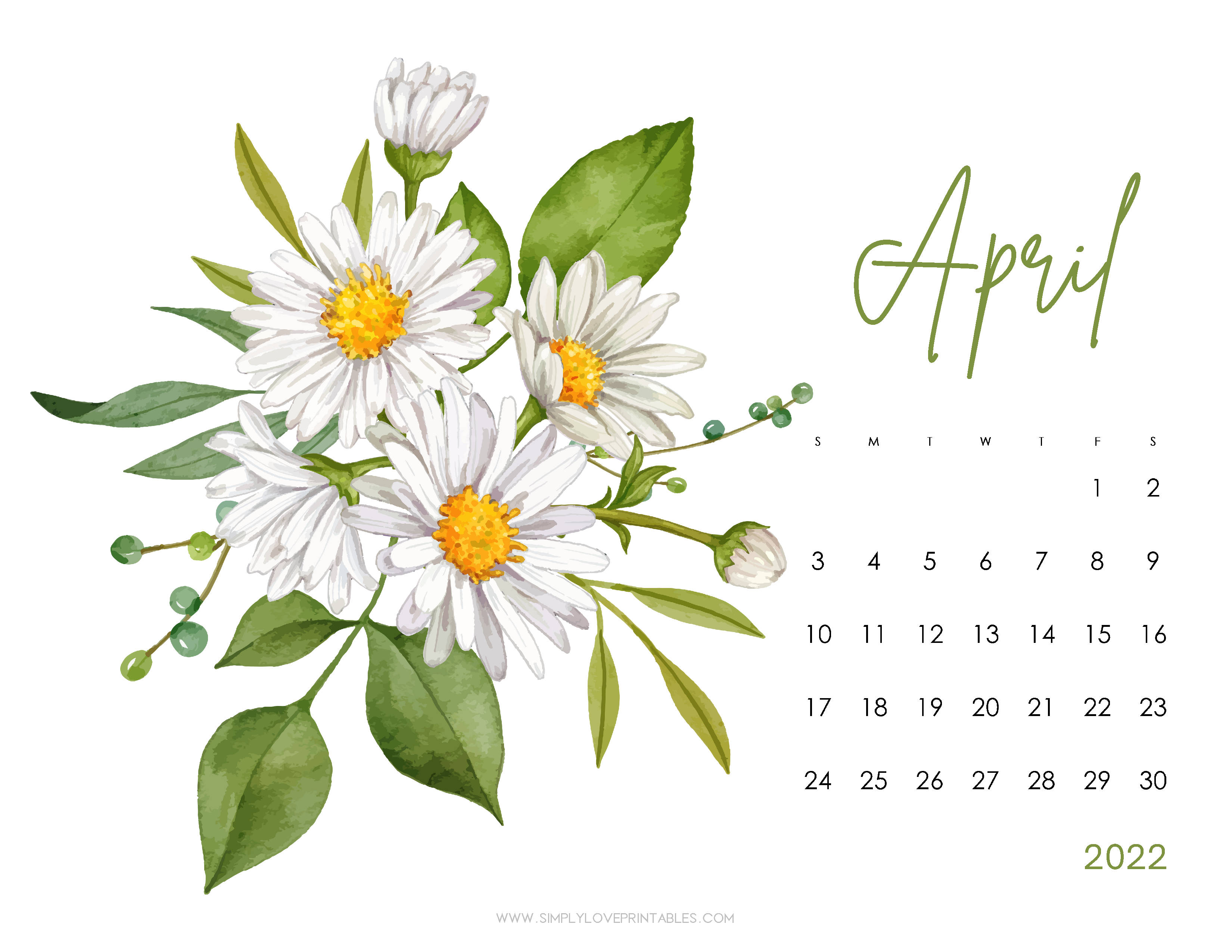 April 桌布 壁紙 — 一幅水彩插圖，描繪了帶有黃色花心和綠色葉子的白色雛菊，點綴著2022年4月的日曆。