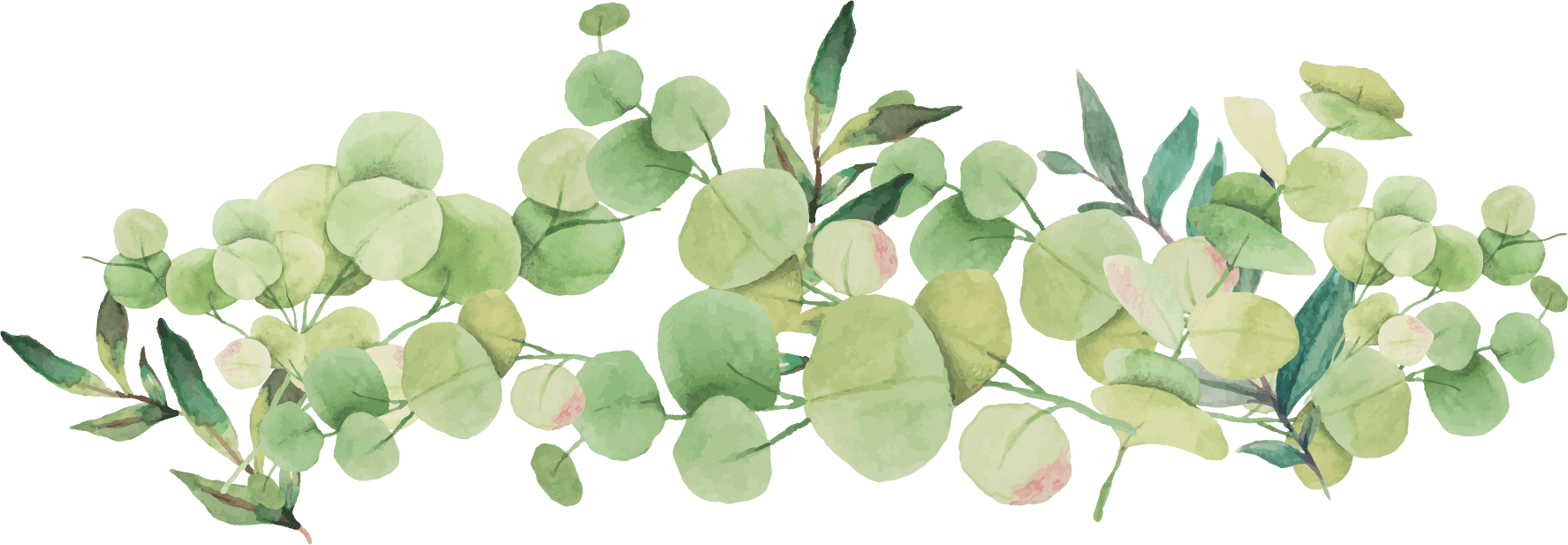 Leaf Border 桌布 壁紙 — 一幅水彩插圖，描繪了深綠色背景上柔和的綠色和粉紅色桉樹葉。