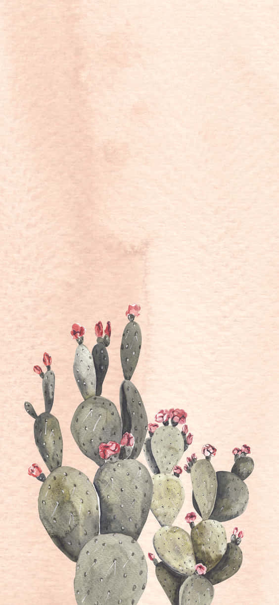 Plant 桌布 壁紙 — 一幅水彩插圖，描繪帶有粉紅色花朵的仙人掌果仙人掌，背景為柔和蜜桃色。