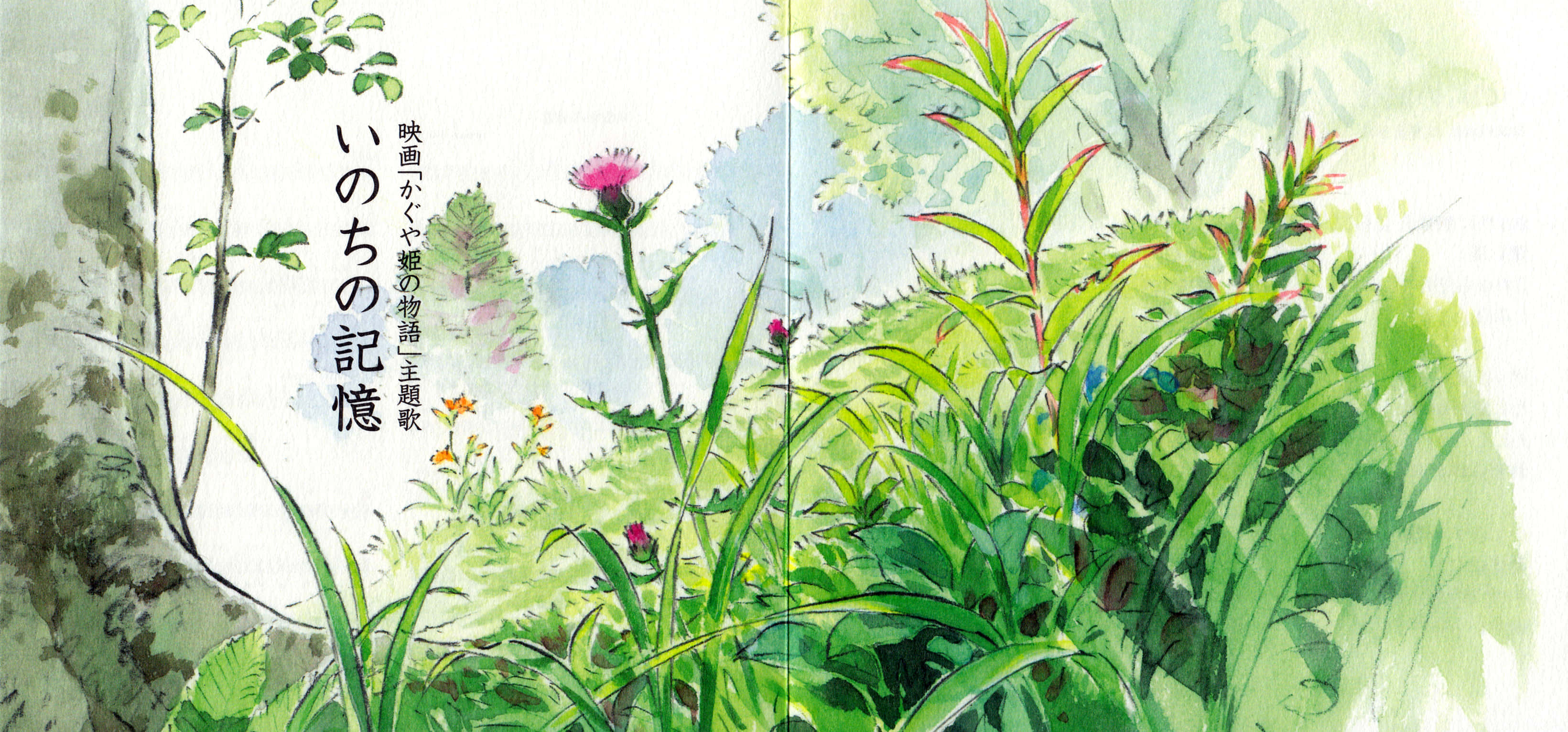 The Tale Of The Princess Kaguya 桌布 壁紙 — 一幅水彩插圖，描繪茂密的綠色樹葉，樹幹上有粉紅色的薊和日文文字。
