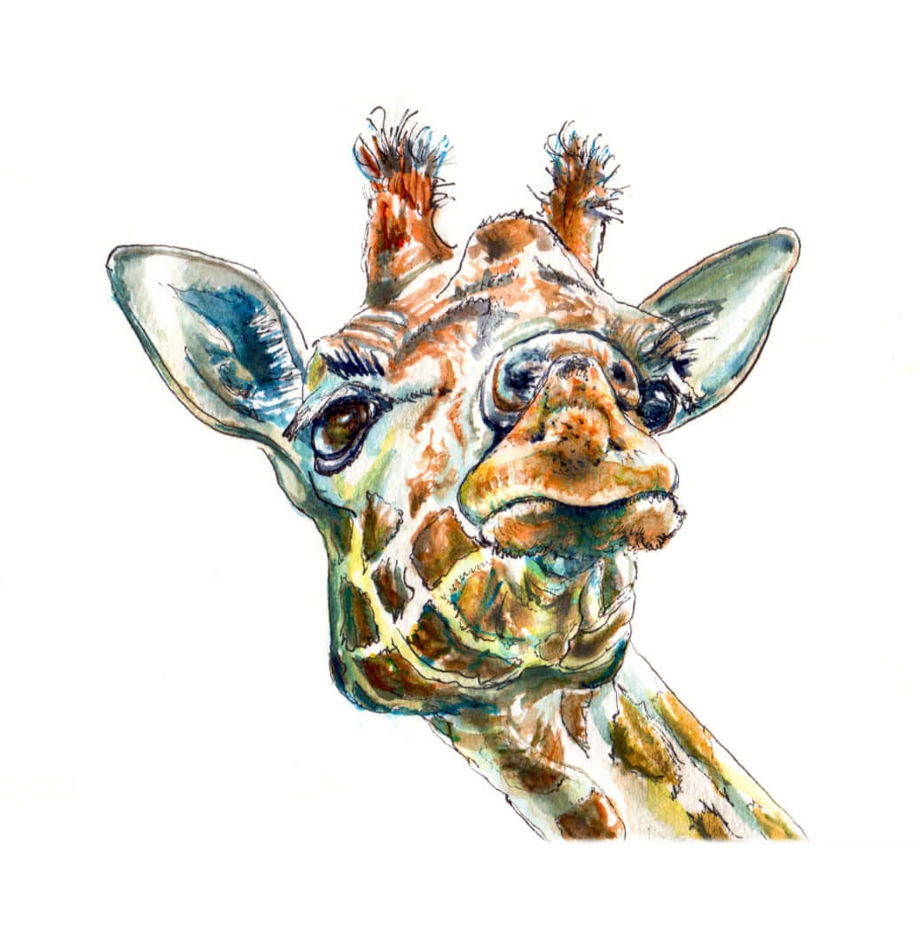 動物 桌布 壁紙 — 一幅水彩插圖，描繪長頸鹿的頭部，帶有表情豐富的眼睛和紋理皮毛，背景為純白色。