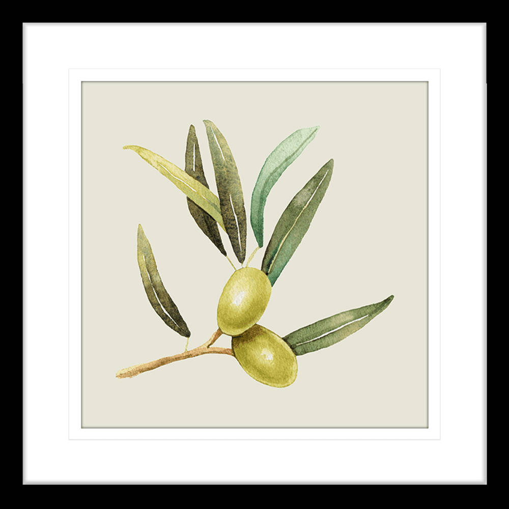 Fruit 桌布 壁紙 — 一幅水彩畫，描繪了一根橄欖枝，上面有兩顆綠色橄欖和細長的葉子，背景為米色。