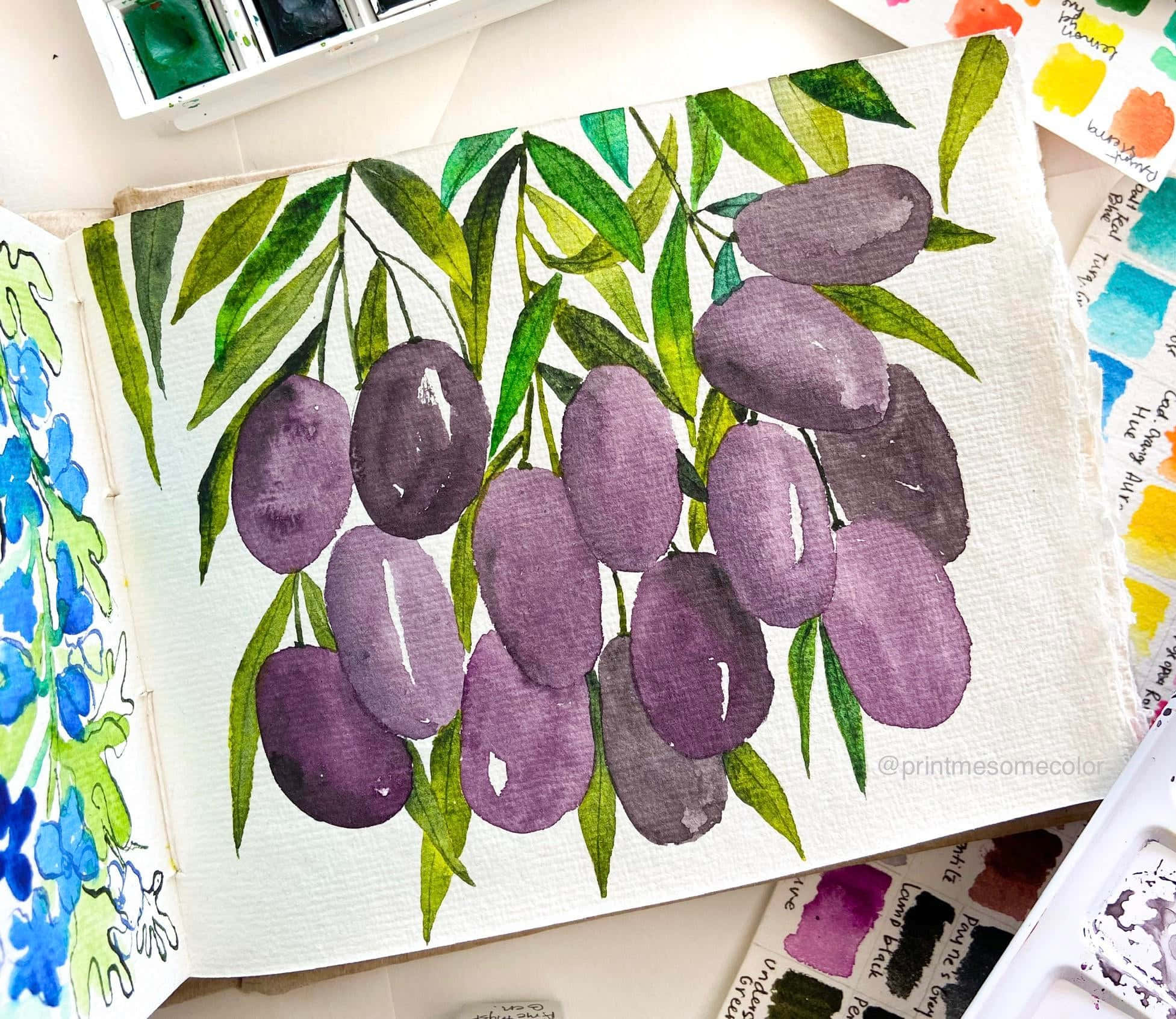 Fruit 桌布 壁紙 — 一幅水彩畫，描繪紫色橄欖和綠色葉子，畫在有紋理的紙上，周圍環繞著美術用品。