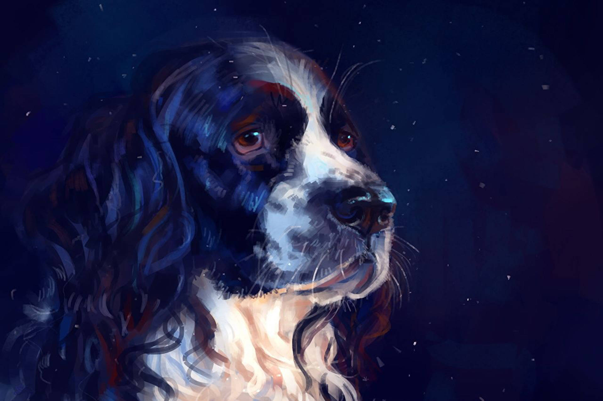 Dog Art 桌布 壁紙 — 一幅水彩風格的西班牙獵犬肖像，眼神充滿靈魂，向右凝視，背景是繁星點點的夜空。