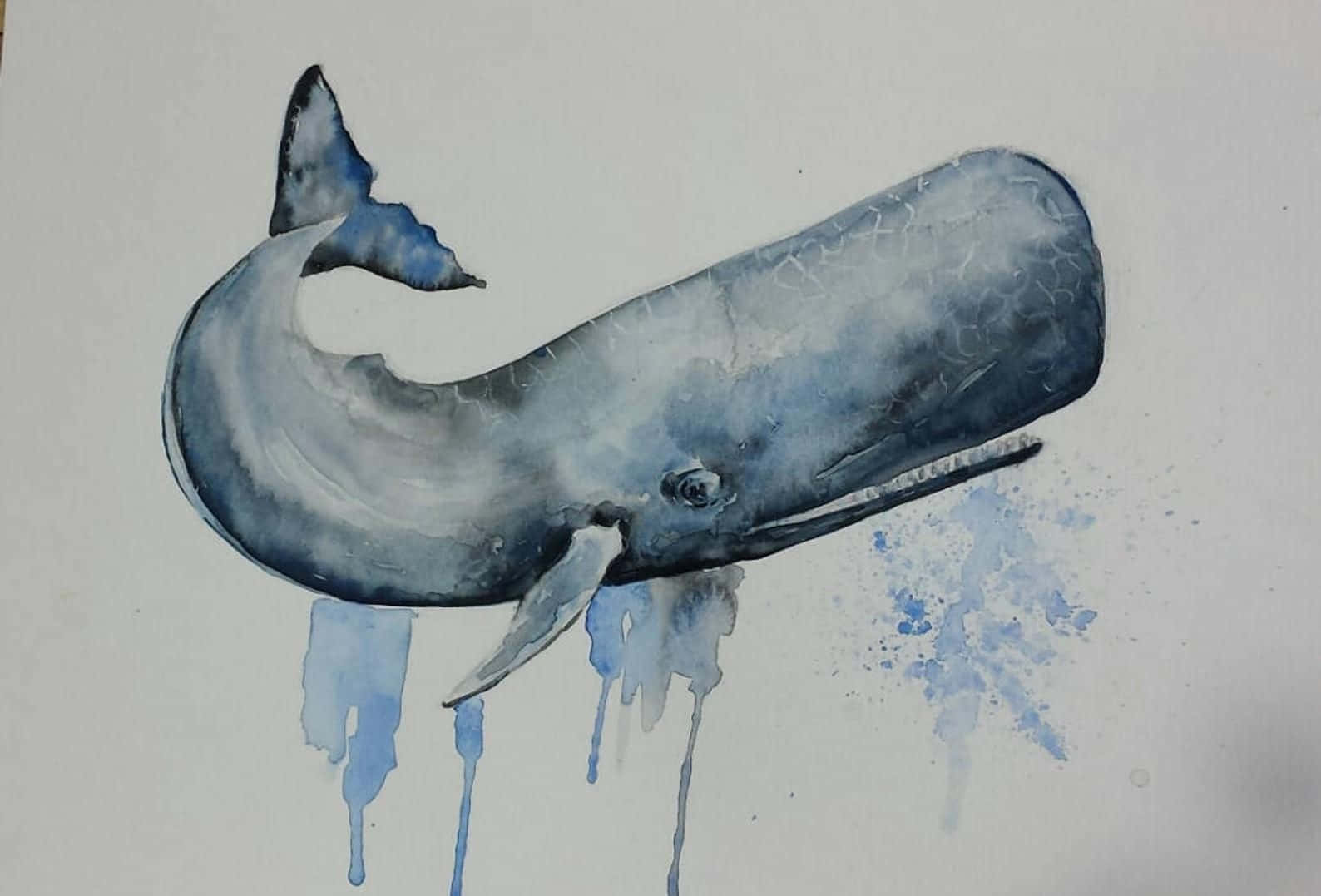 Sperm Whale 桌布 壁紙 — 一幅水彩鯨魚，以藍色調繪製，顏料從其身體滴落，背景簡潔。