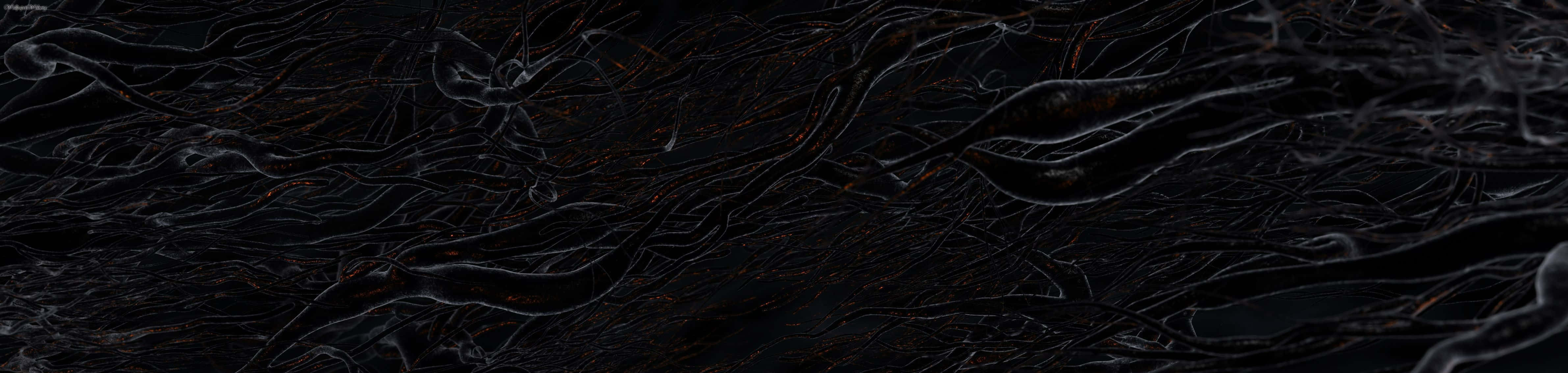 black textured 桌布 壁紙 — 一幅深色抽象數位藝術作品，具有流動的黑色和深棕色有機圖案，帶有微妙的發光高光。