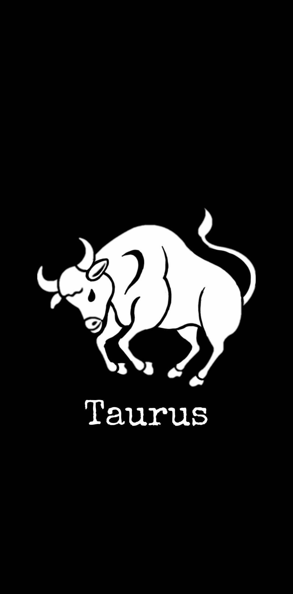 taurus 桌布 壁紙 — 一幅清晰的白線畫，描繪一頭衝鋒的公牛，下方有Taurus字樣，背景為純黑色。