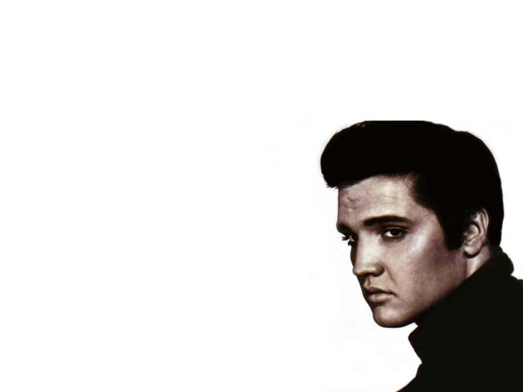 音樂 桌布 壁紙 — 一幅清晰的艾維斯·普里斯萊黑白側面肖像，背景為純白色。