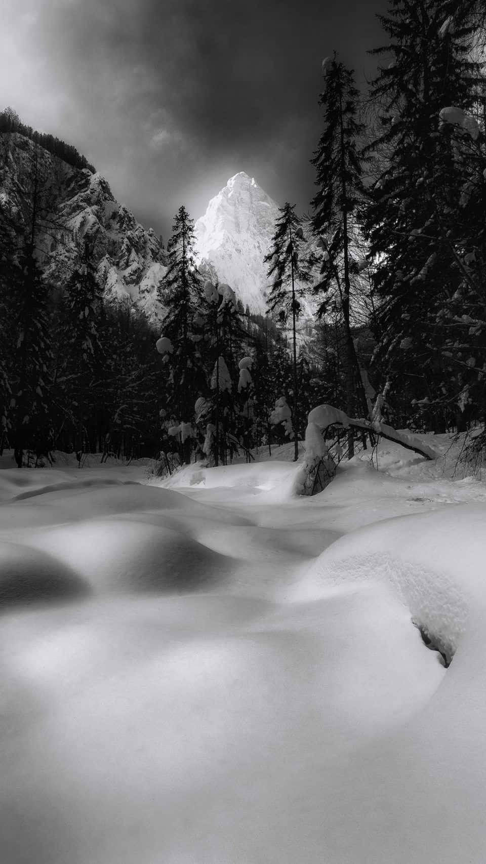 桌布 壁紙 — 一幅清晰的黑白冬季場景，白雪覆蓋的地面和松樹襯托著一座高聳的冰封山峰，背景是戲劇性的多雲天空。