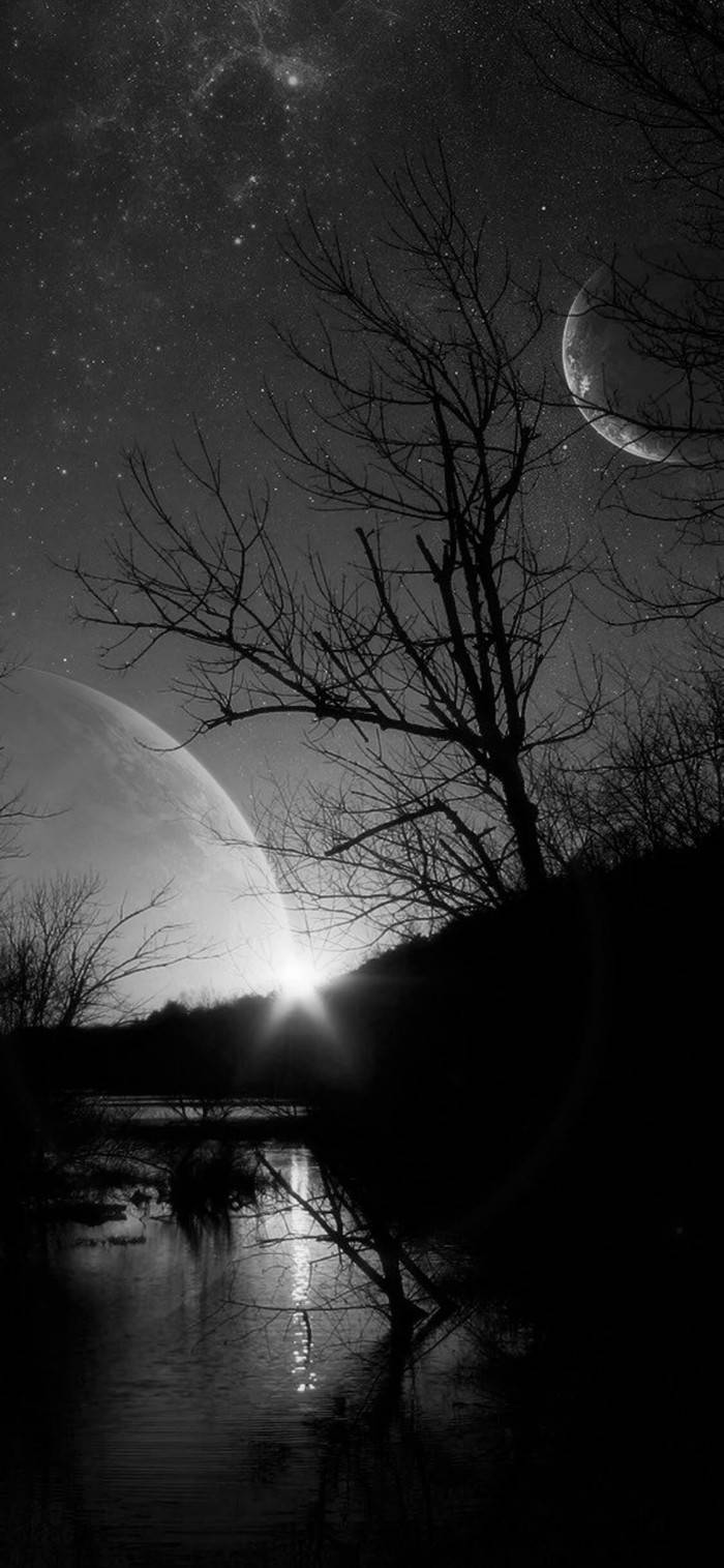iPhone 桌布 壁紙 — 一幅清晰的黑白夜景，光禿禿的樹枝在繁星點點的天空襯托下形成剪影，天空中有兩個月亮和一個發光的天體，下方是反射的水面。