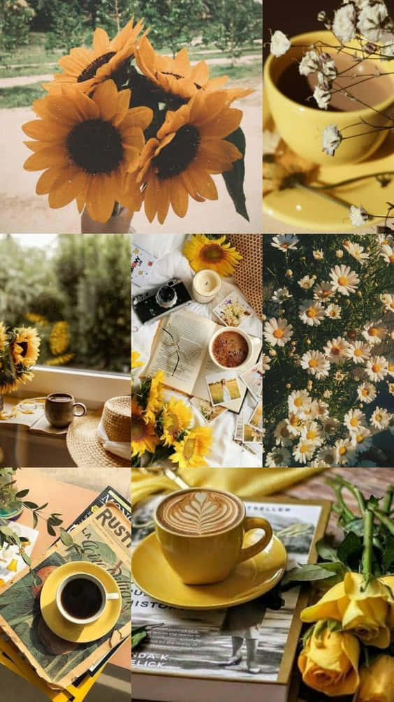 Yellow Aesthetic Collage 桌布 壁紙 — 一幅溫暖的拼貼畫，包含向日葵、雛菊、黃色馬克杯和書籍，沐浴在金色光線中，營造出舒適的鄉村風格氛圍。