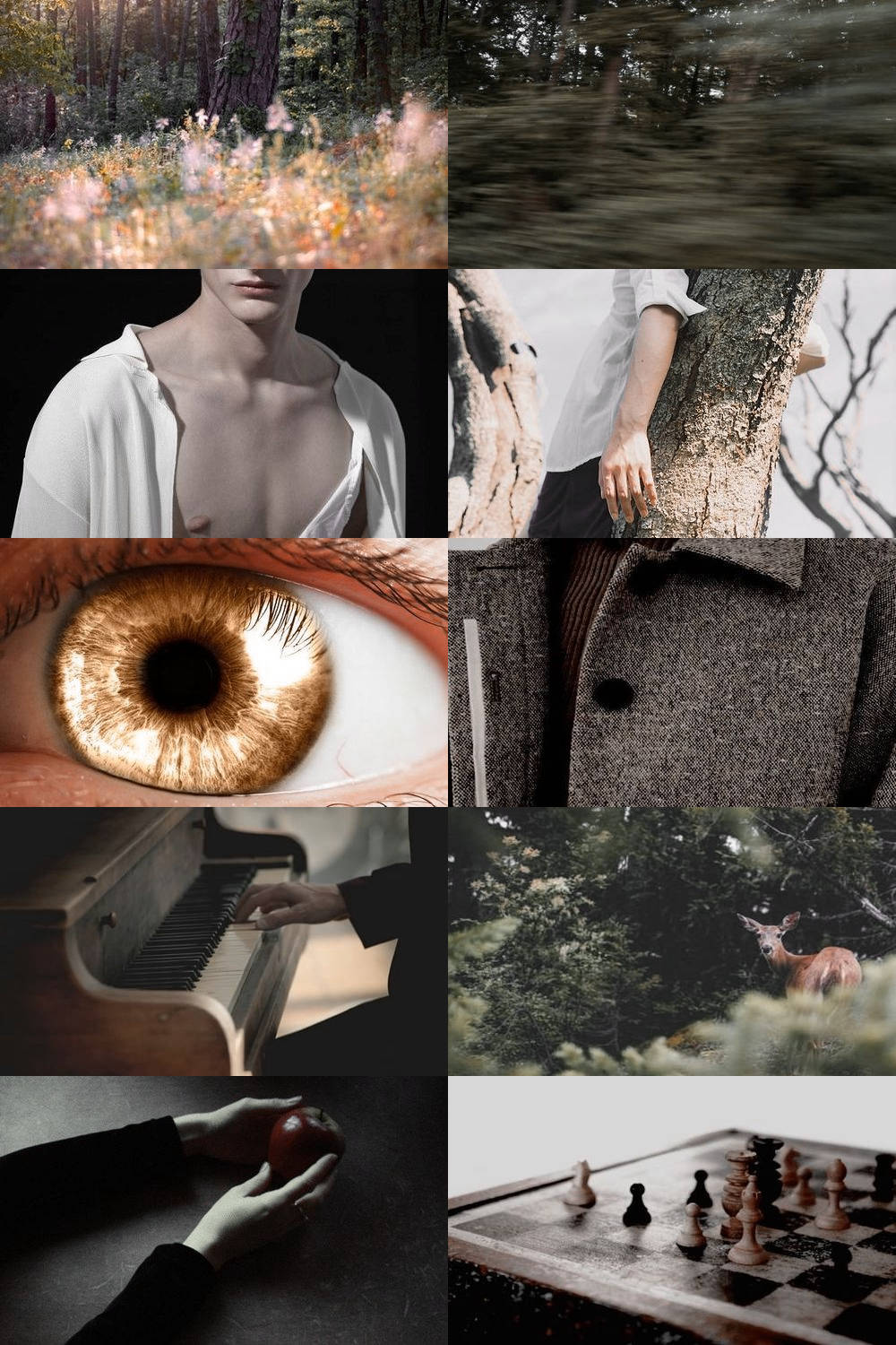 Twilight Aesthetic 桌布 壁紙 — 一幅由陰鬱森林場景、眼睛特寫、拿著蘋果的手和棋盤上的棋子組成的拼貼畫。