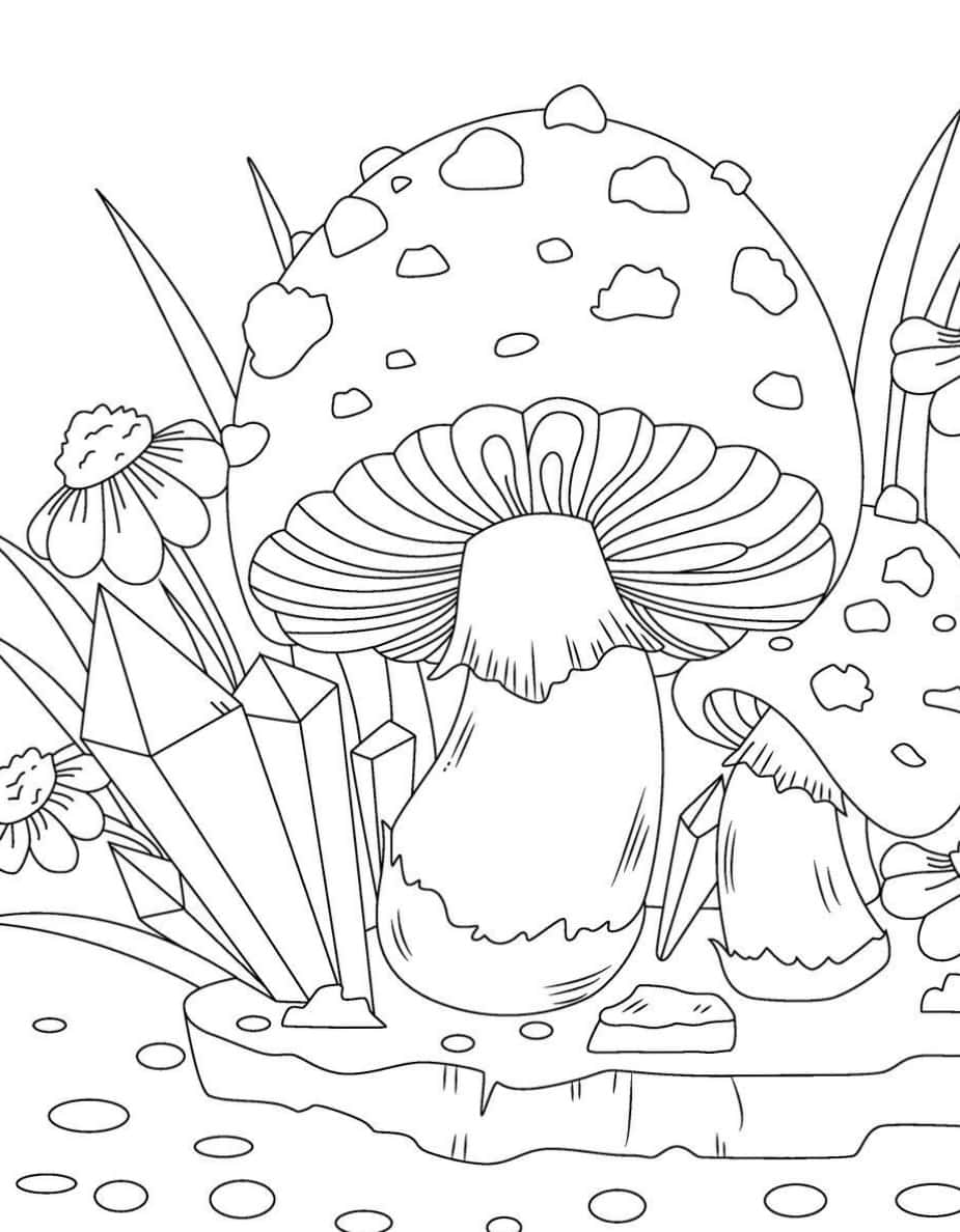 coloring 桌布 壁紙 — 一幅異想天開的黑白線條畫，描繪了森林空地中生長在幾何晶體和花朵旁邊的巨大斑點蘑菇。