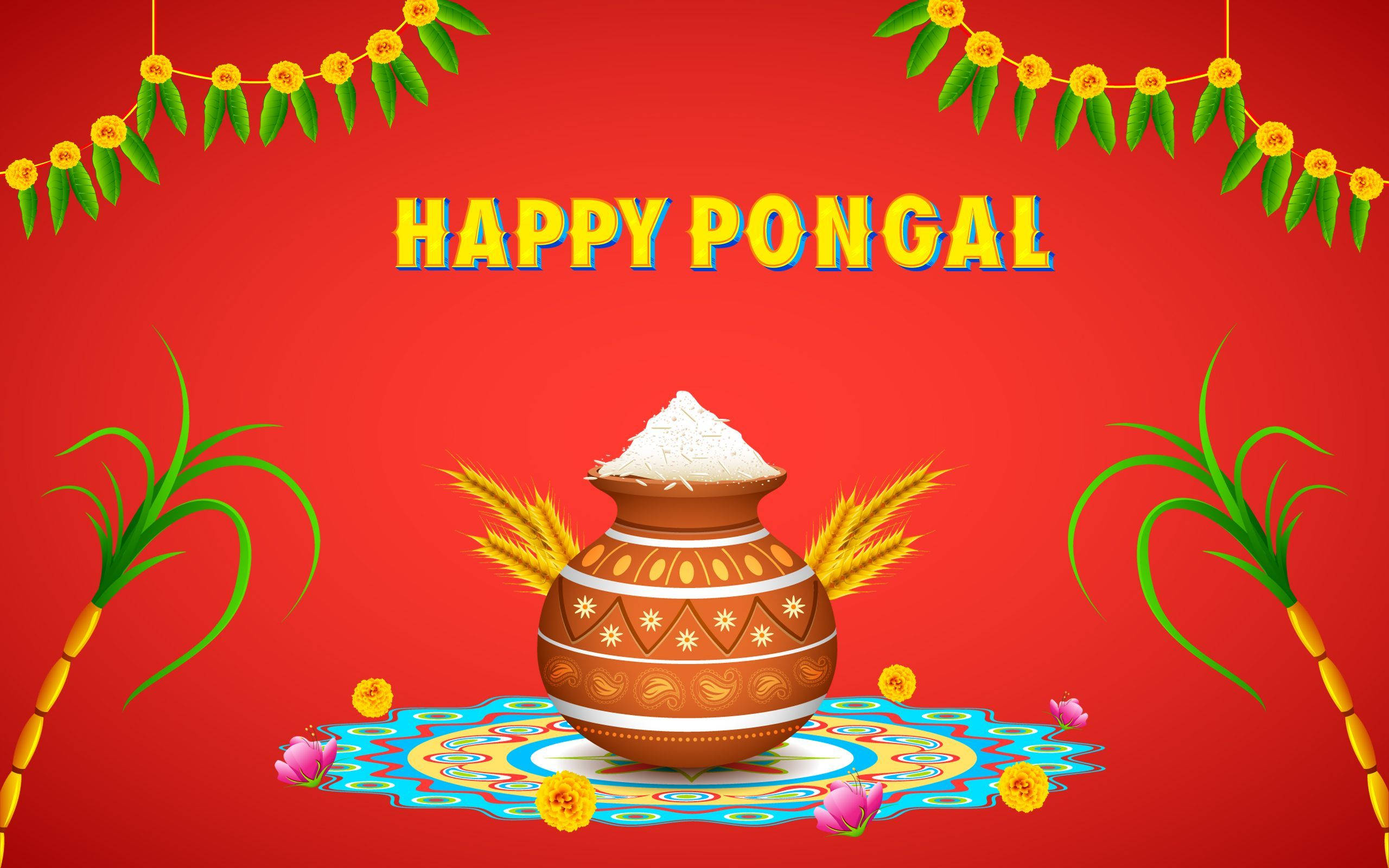 Indian 桌布 壁紙 — 一幅節日插圖，描繪傳統Pongal鍋在紅色背景上的彩色藍果麗上溢出米飯和小麥稈。