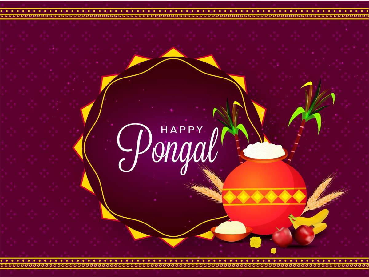 Pongal 桌布 壁紙 — 一幅節日插畫慶祝Happy Pongal，一個紅色鍋子裝滿米飯，旁邊有甘蔗、棕櫚葉、香蕉和蘋果，背景是深紫色。