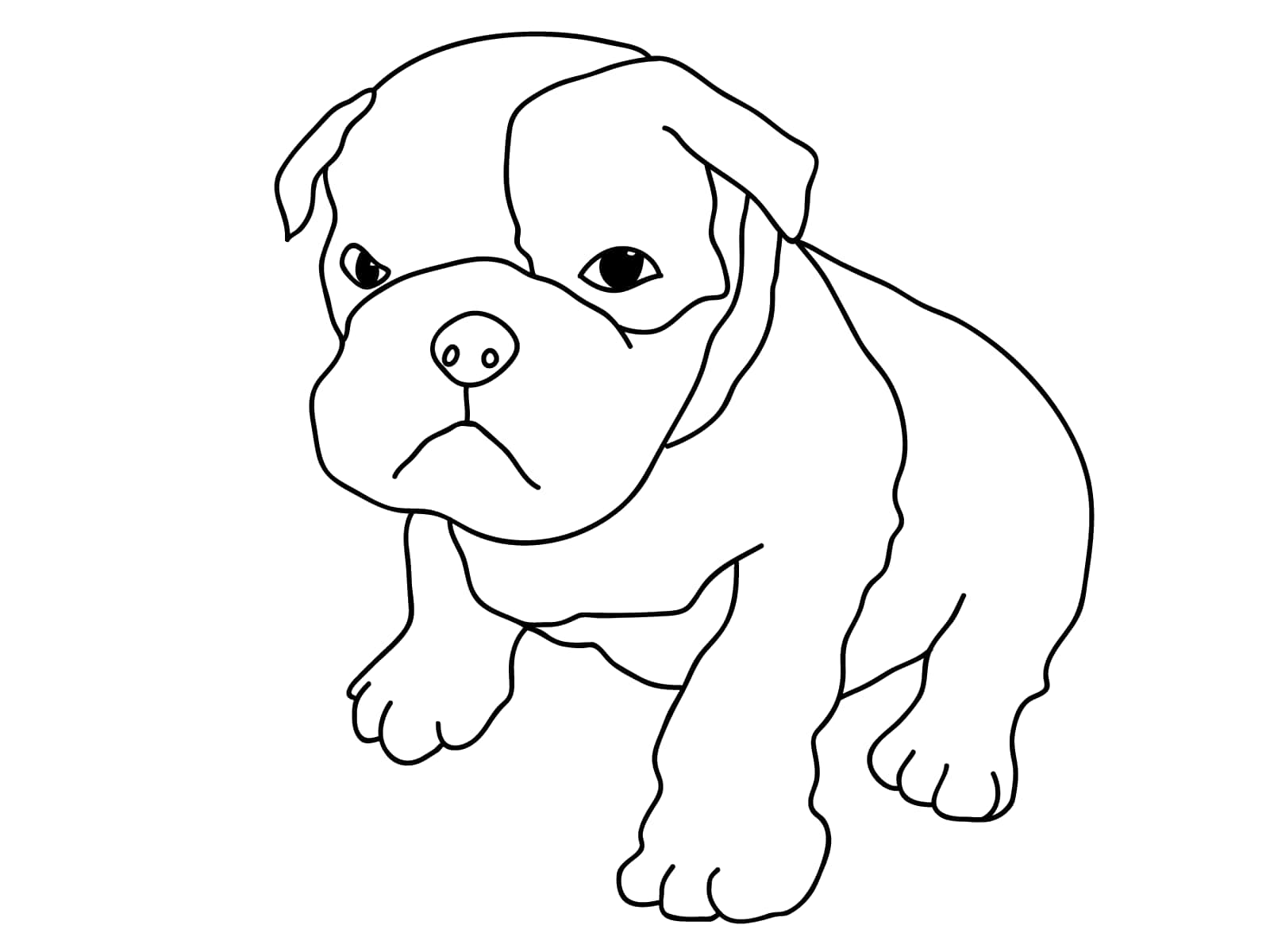 Bulldog 桌布 壁紙 — 一幅簡單的黑白線條畫，畫著一隻有垂耳和大眼睛的可愛小狗。