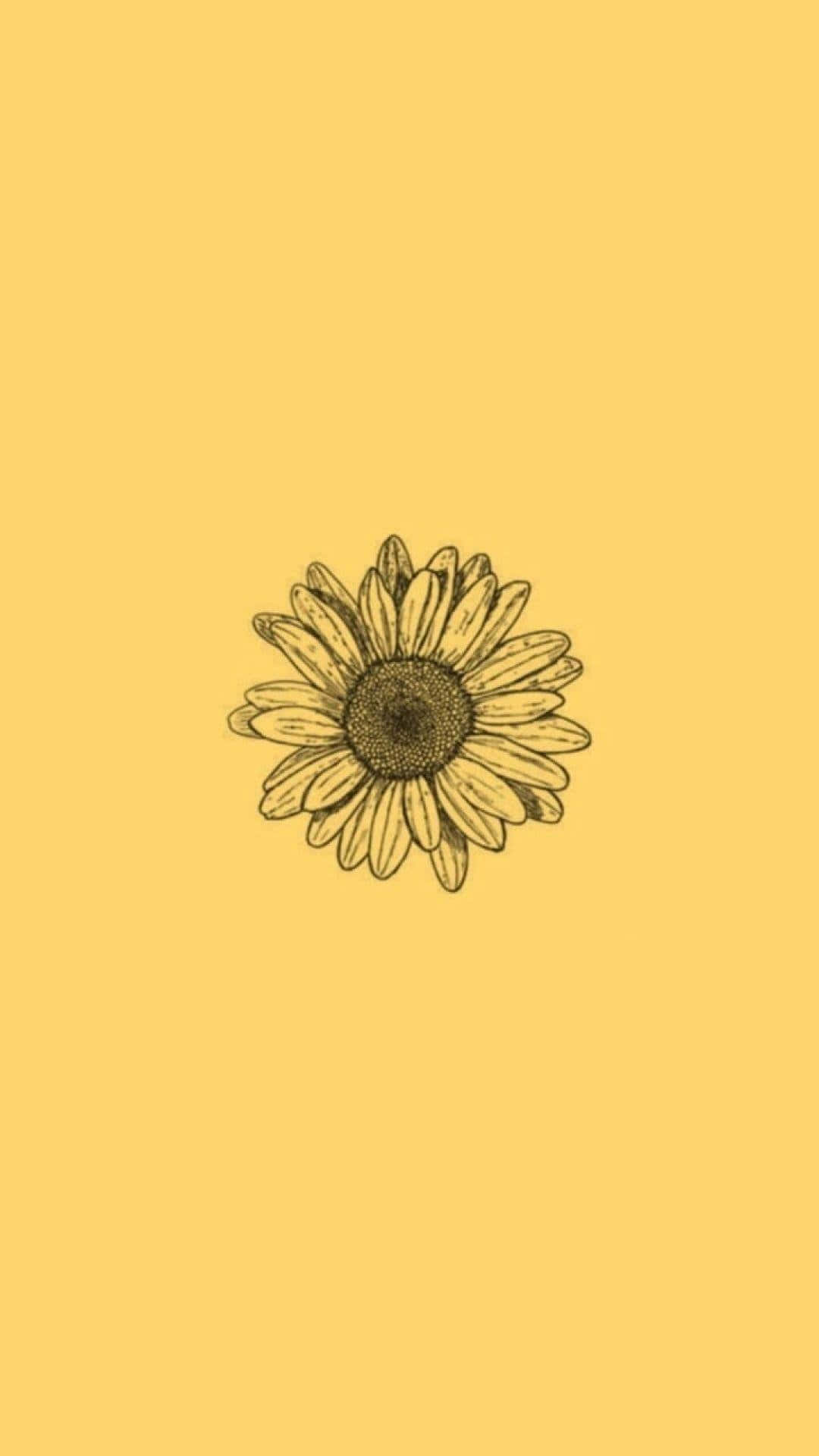 Aesthetic Yellow 桌布 壁紙 — 一幅簡約手繪向日葵插圖，置中於純色暖黃色背景上。