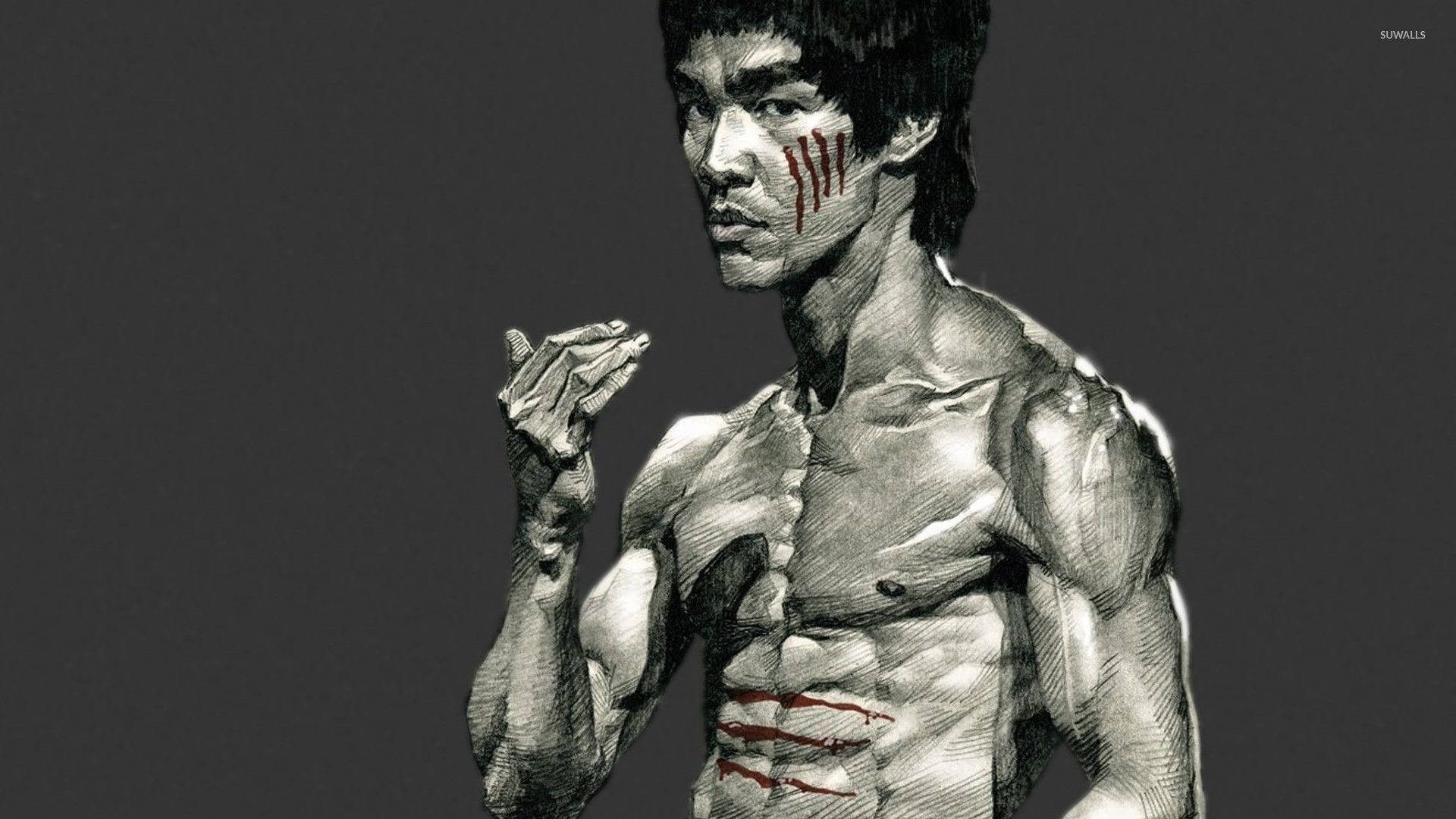 明星 桌布 壁紙 — 一幅粗糙素描風格的李小龍肖像，他擺出戰鬥姿勢，臉上和身上有紅色的割痕，背景是深灰色。