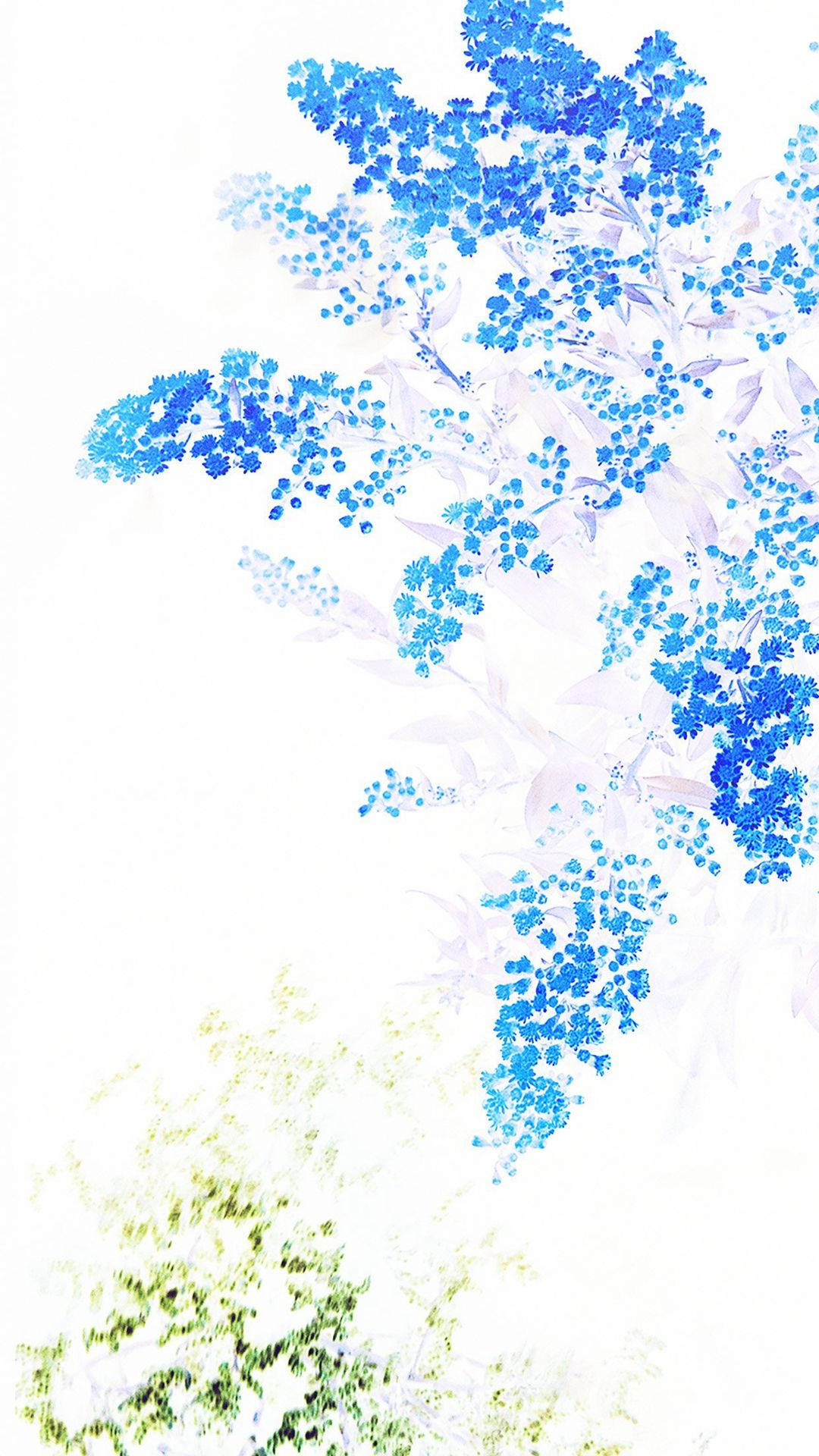 白色 桌布 壁紙 — 一幅精緻的水彩畫，描繪了藍色和綠色的花卉簇，背景為明亮的白色。