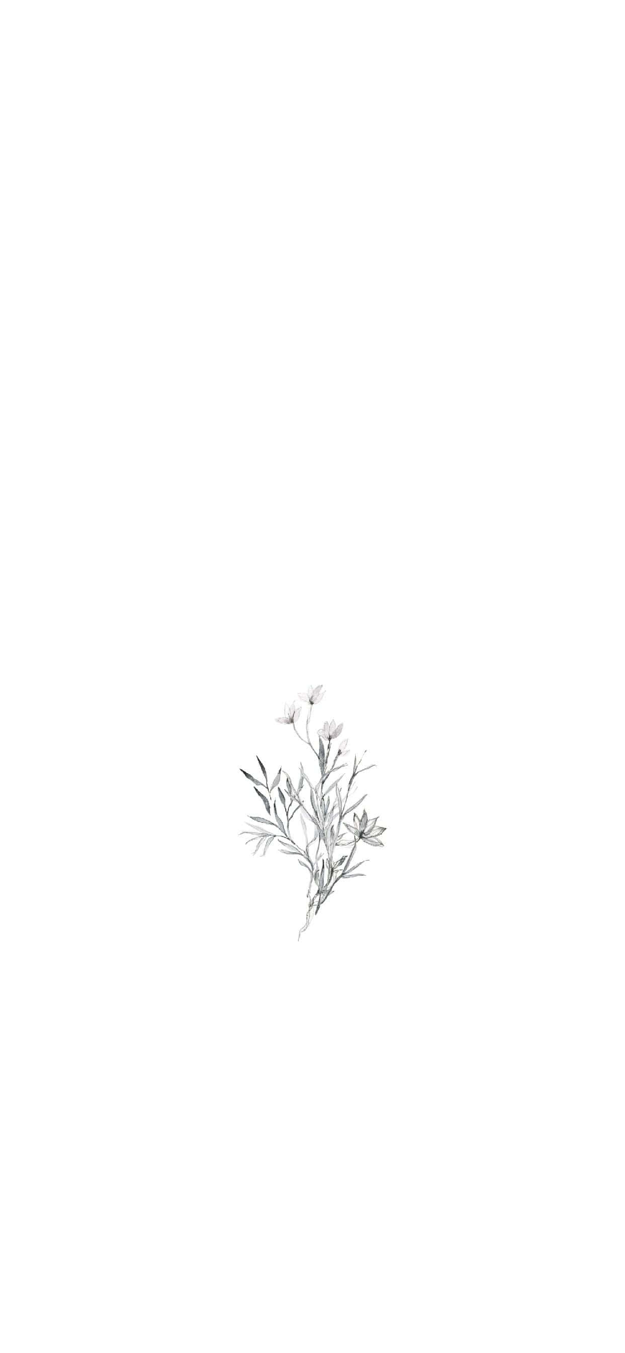 Art Drawing 桌布 壁紙 — 一幅精緻的灰階素描，描繪一根細小的野花枝條，帶有纖細的莖和微小的花朵，置於純白背景中央。