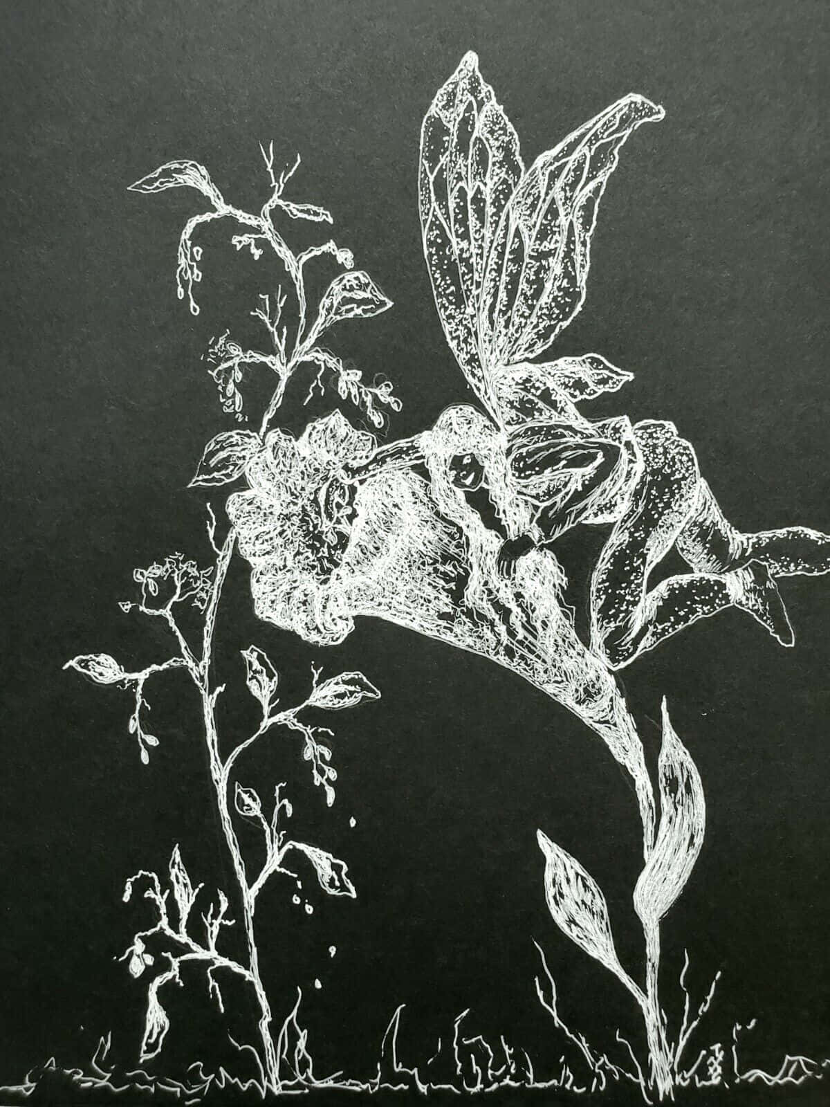 Black And White Drawings 桌布 壁紙 — 一幅精緻的白色線條畫，描繪一位擁有複雜翅膀的精靈棲息在開花植物上，背景為深炭灰色。