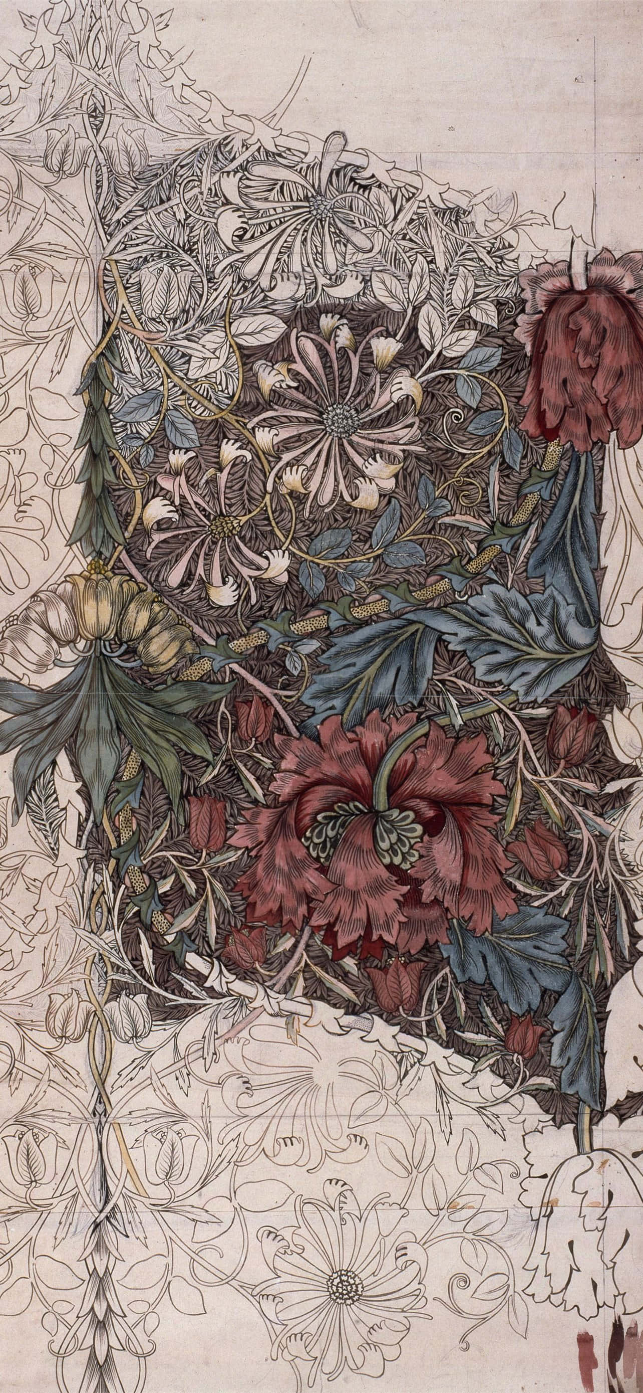 桌布 壁紙 — 一幅精緻的花卉插圖，帶有細緻的線條藝術，並在奶油色背景上選擇性地突出深紅色和藍色。