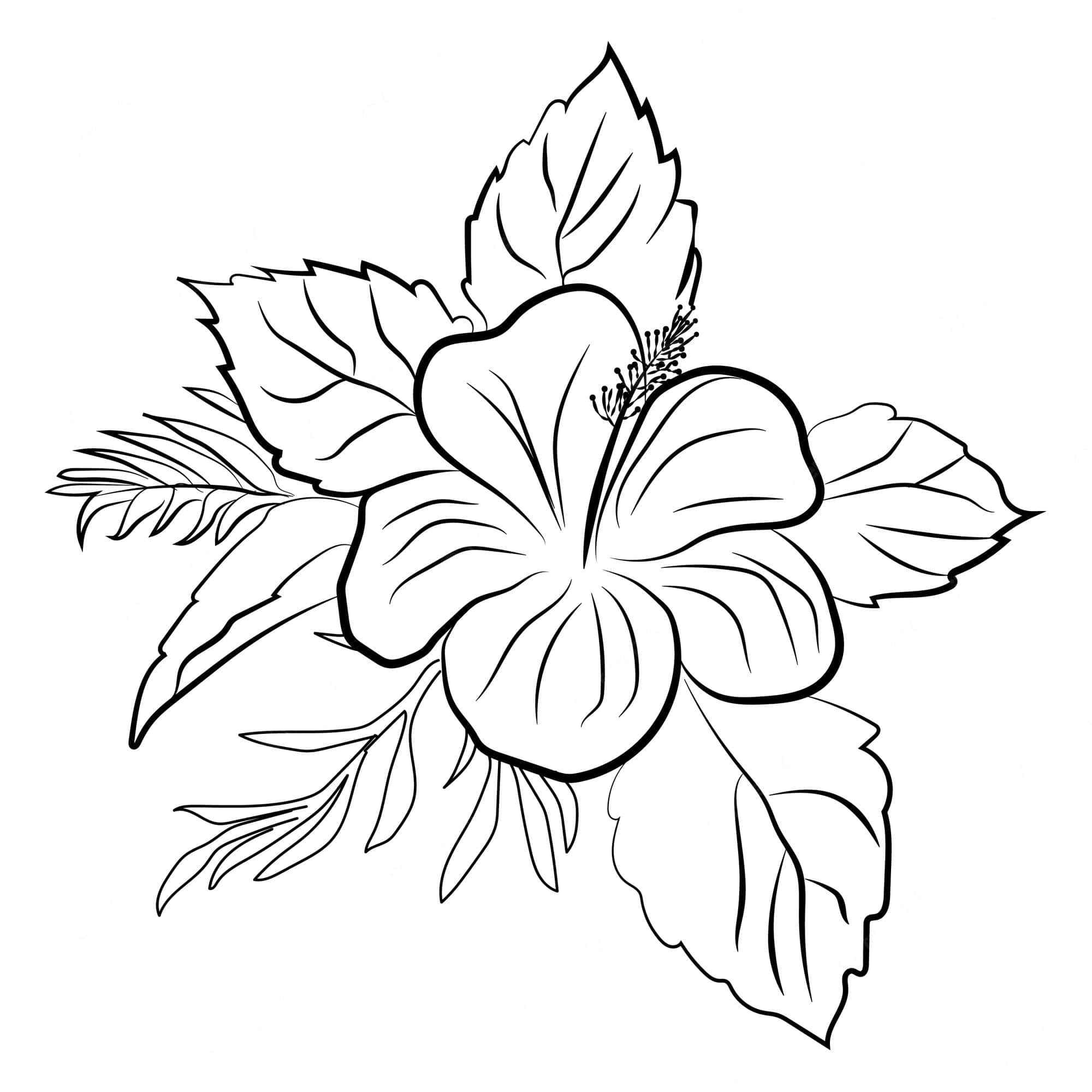黑色藝術 桌布 壁紙 — 一幅精緻的黑白線條畫，描繪一朵芙蓉花，花瓣細節豐富，周圍有葉子。