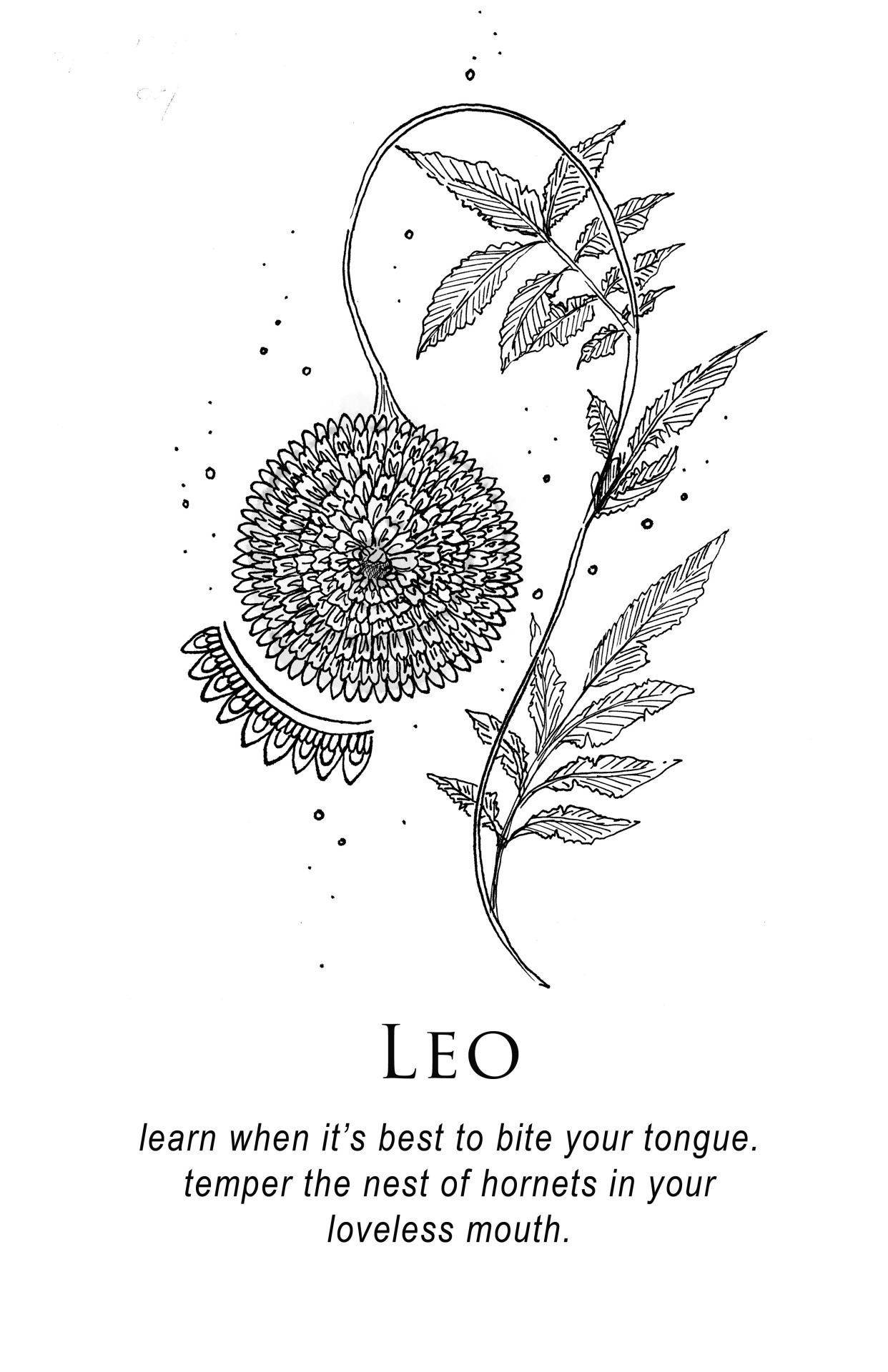 Leo 桌布 壁紙 — 一幅精緻的黑白線條畫，描繪蒲公英，帶有複雜的花瓣和羽毛狀葉子，並附有關於獅子座的文字。