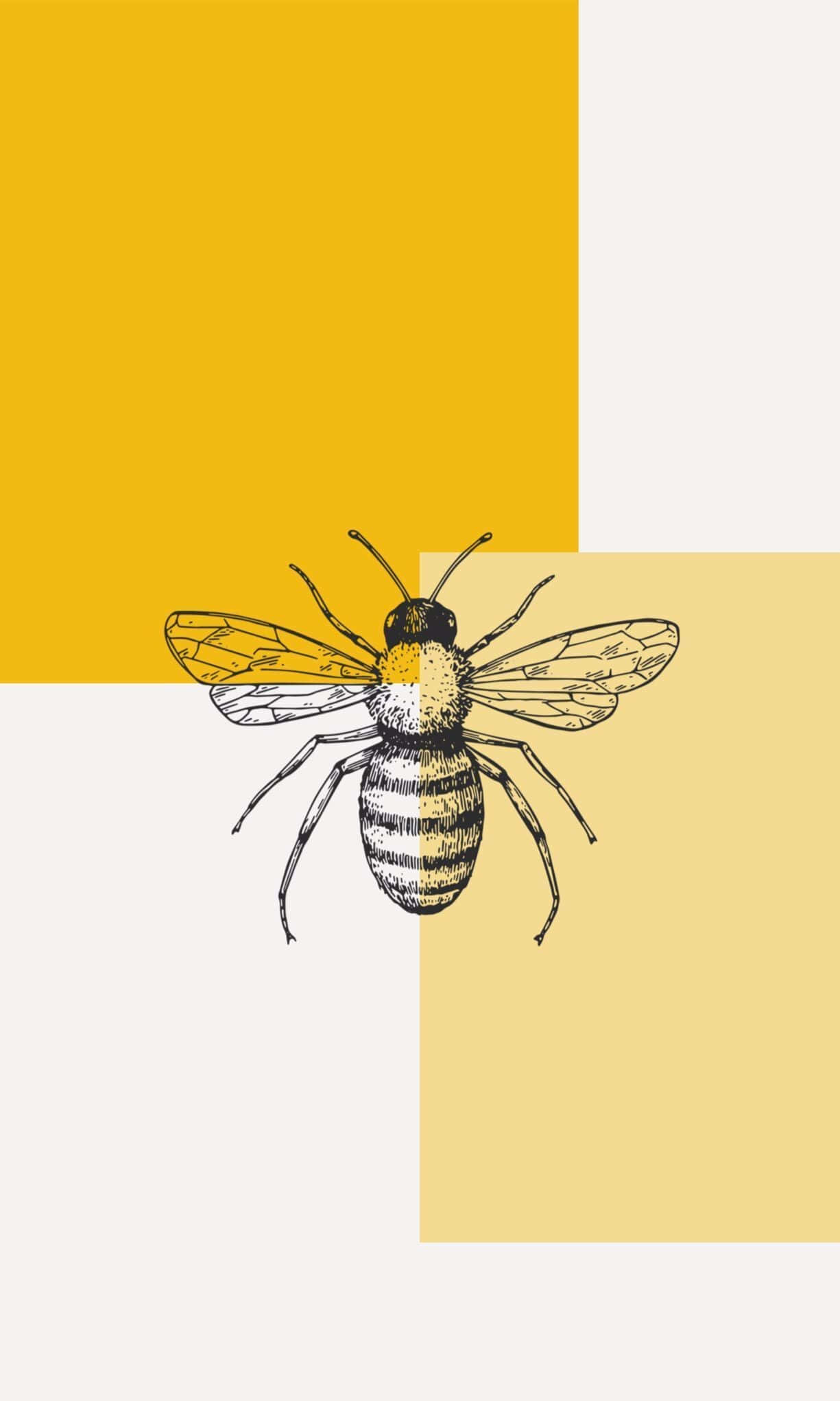 Aesthetic Bee 桌布 壁紙 — 一幅細節豐富的線條藝術蜜蜂插圖，帶有黃色點綴，漂浮在芥末黃、奶油色和白色的幾何背景上。