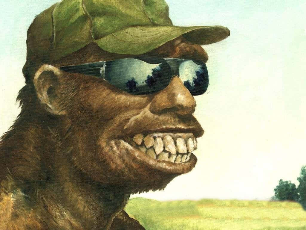 軍事動圖 桌布 壁紙 — 一幅繪畫肖像，描繪一隻微笑的猿人戴著綠色帽子和反光太陽眼鏡，背景是明亮的戶外環境。