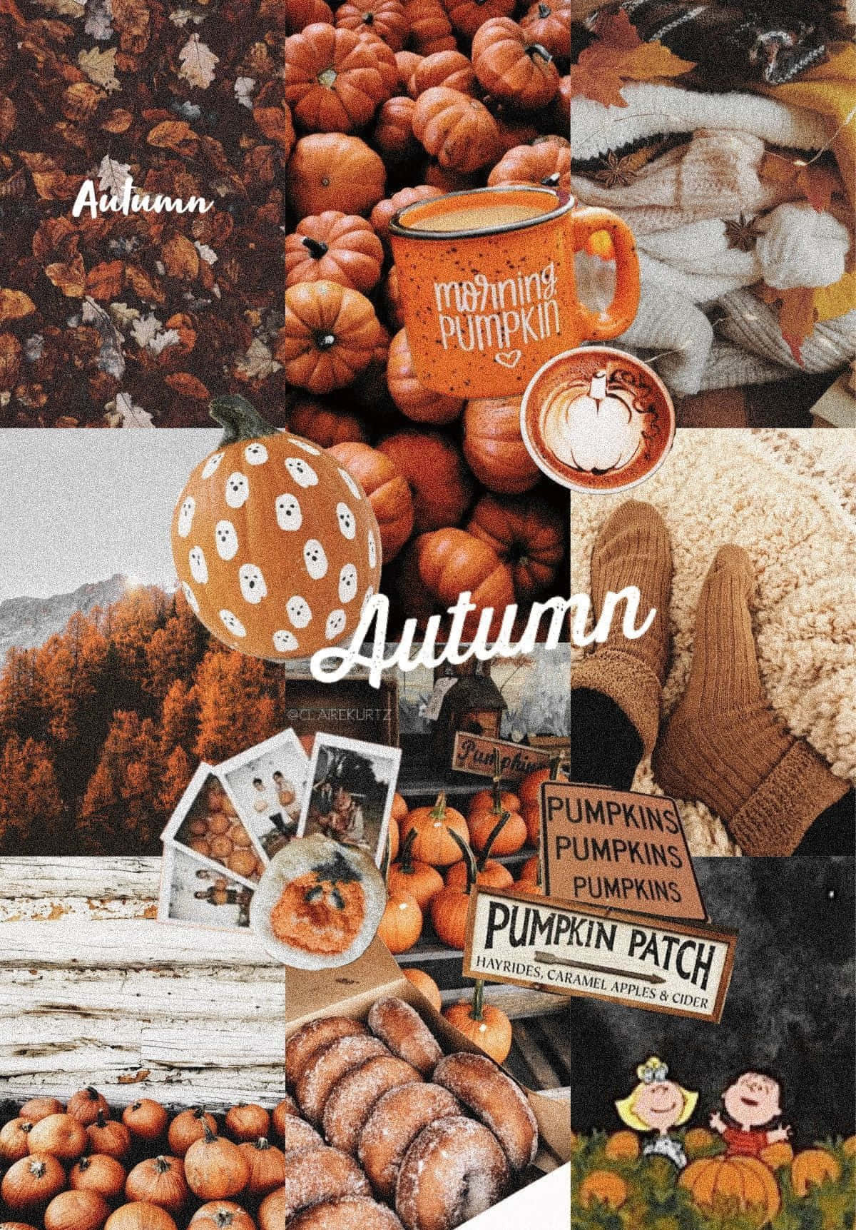 Autumn Collage 桌布 壁紙 — 一幅舒適的秋季拼貼畫，以溫暖大地色調呈現南瓜、針織襪、南瓜香料咖啡和秋葉。