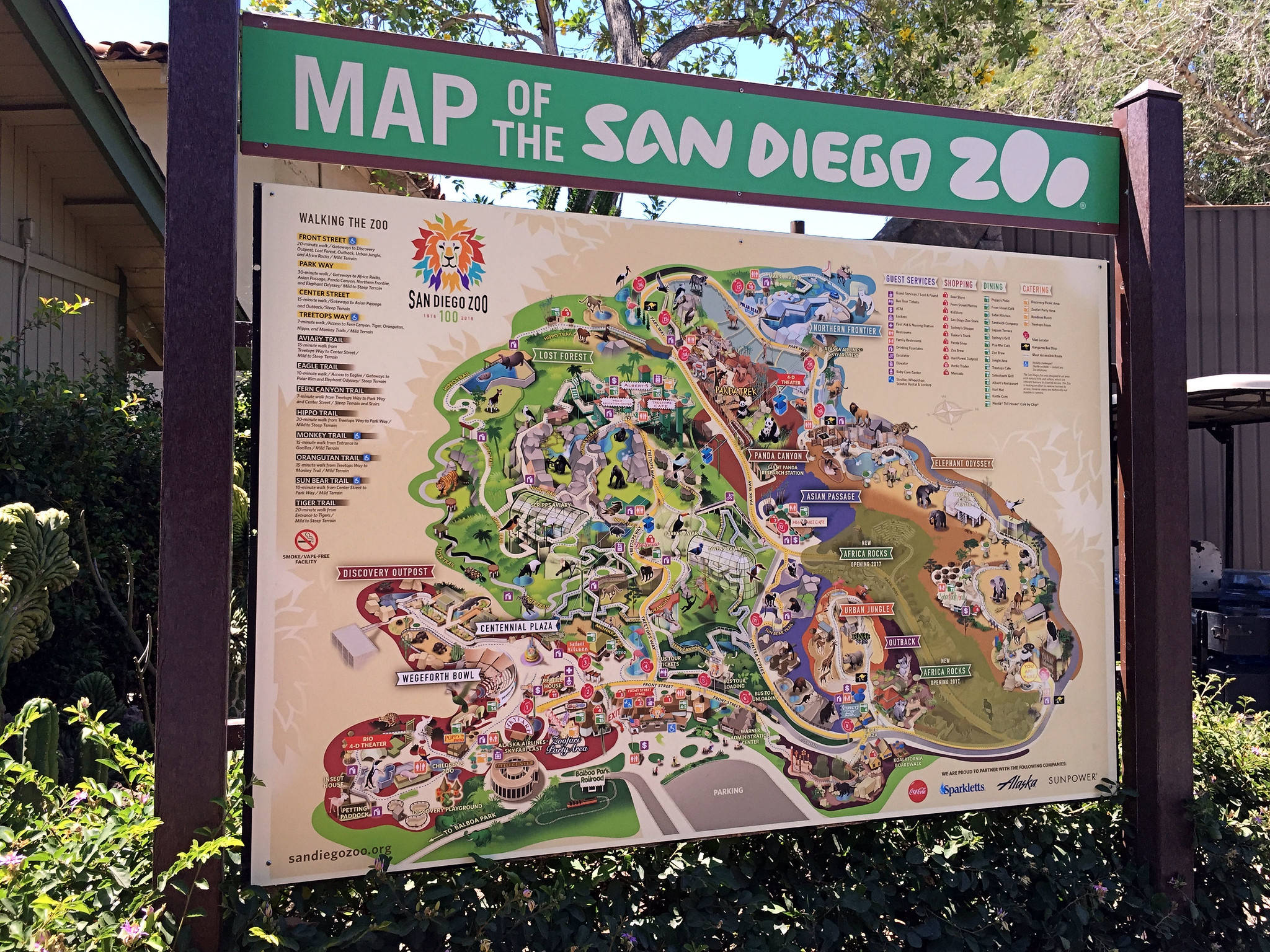 Map 桌布 壁紙 — 一幅色彩繽紛的聖地牙哥動物園插圖地圖，在明亮的陽光下戶外展示，周圍環繞著綠植。