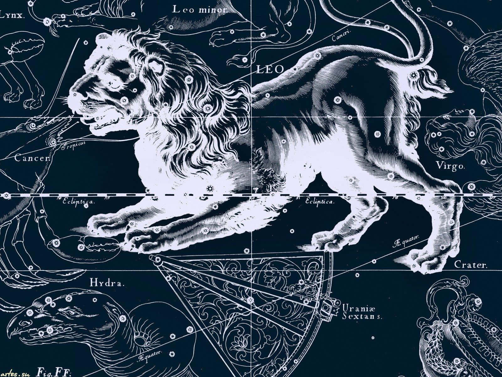 Leo 桌布 壁紙 — 一幅複雜的復古星圖插圖，以深海軍藍背景展示獅子座作為雄偉的獅子。