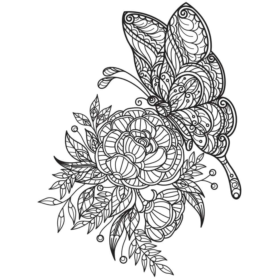 Butterfly Coloring Pages 桌布 壁紙 — 一幅複雜的黑白線條畫，描繪了一隻細節豐富的蝴蝶棲息在一朵盛開的花朵上，周圍環繞著華麗的葉子。