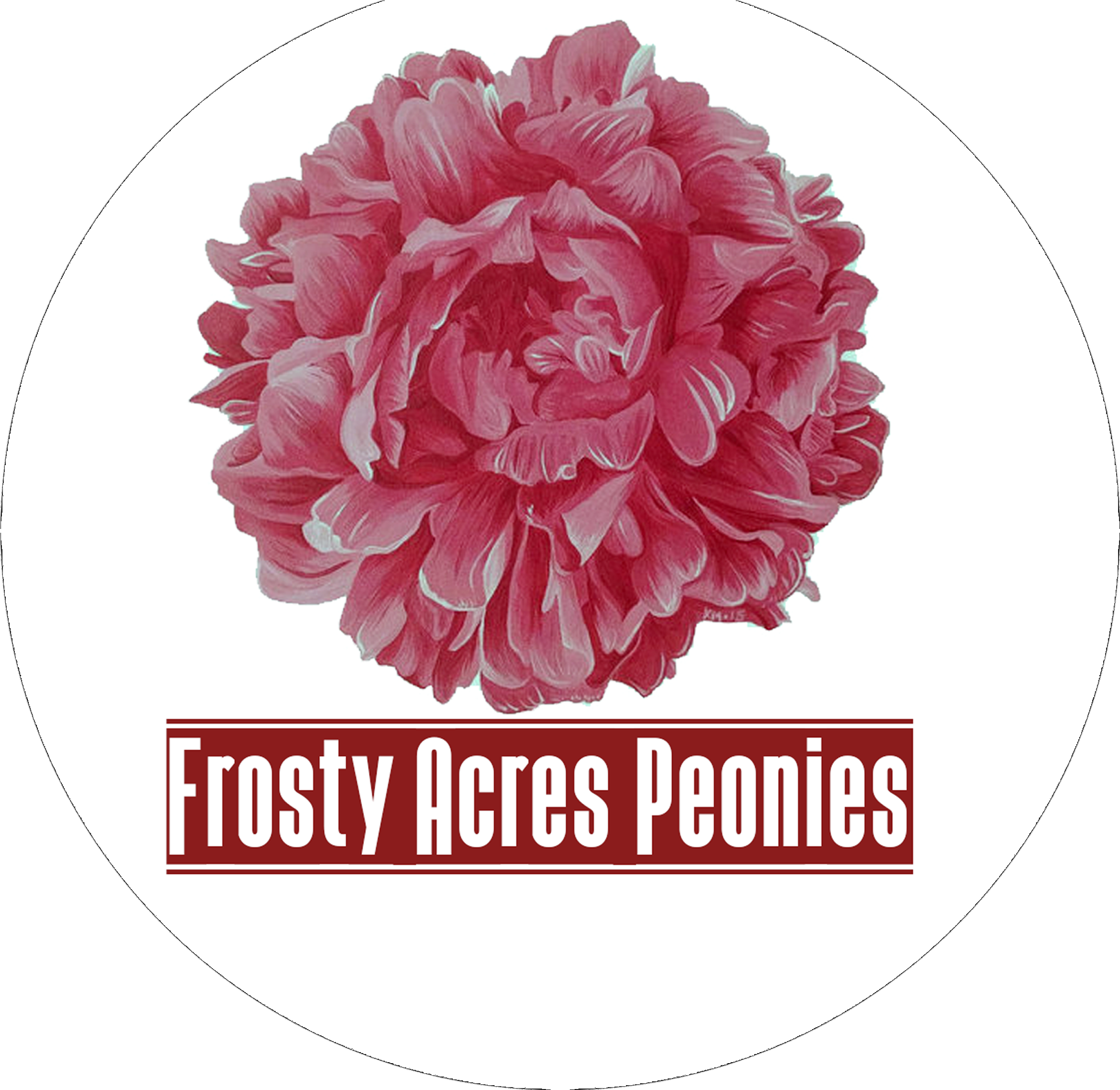 Peony 桌布 壁紙 — 一幅詳細插圖，描繪一朵茂盛的粉紅色牡丹，帶有精緻的白色高光，位於黑色背景上的白色圓圈中心。