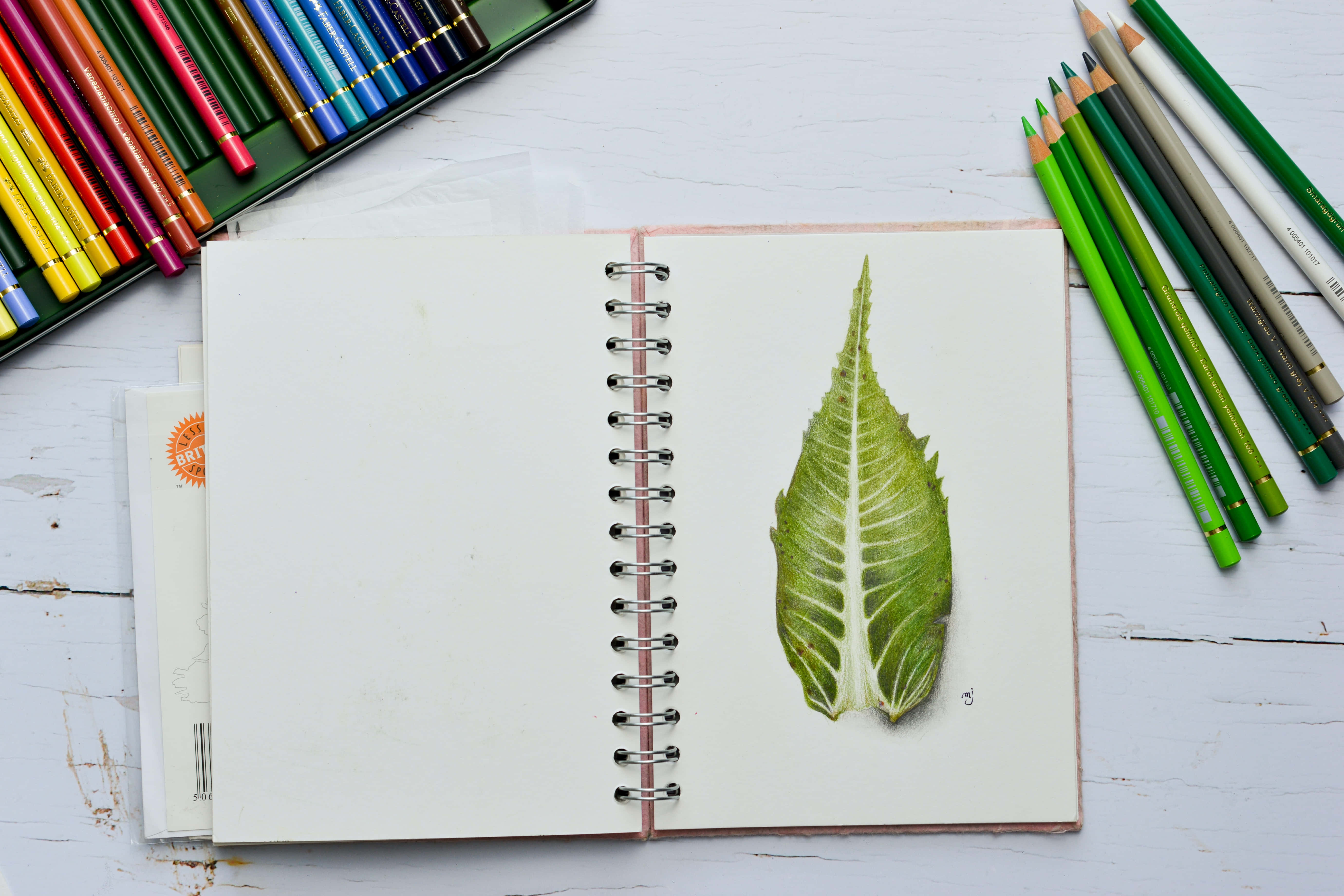 Drawing 桌布 壁紙 — 一幅詳細的彩色鉛筆畫，描繪白色木質表面上螺旋筆記本中的一片綠色葉子，周圍環繞著美術用品。