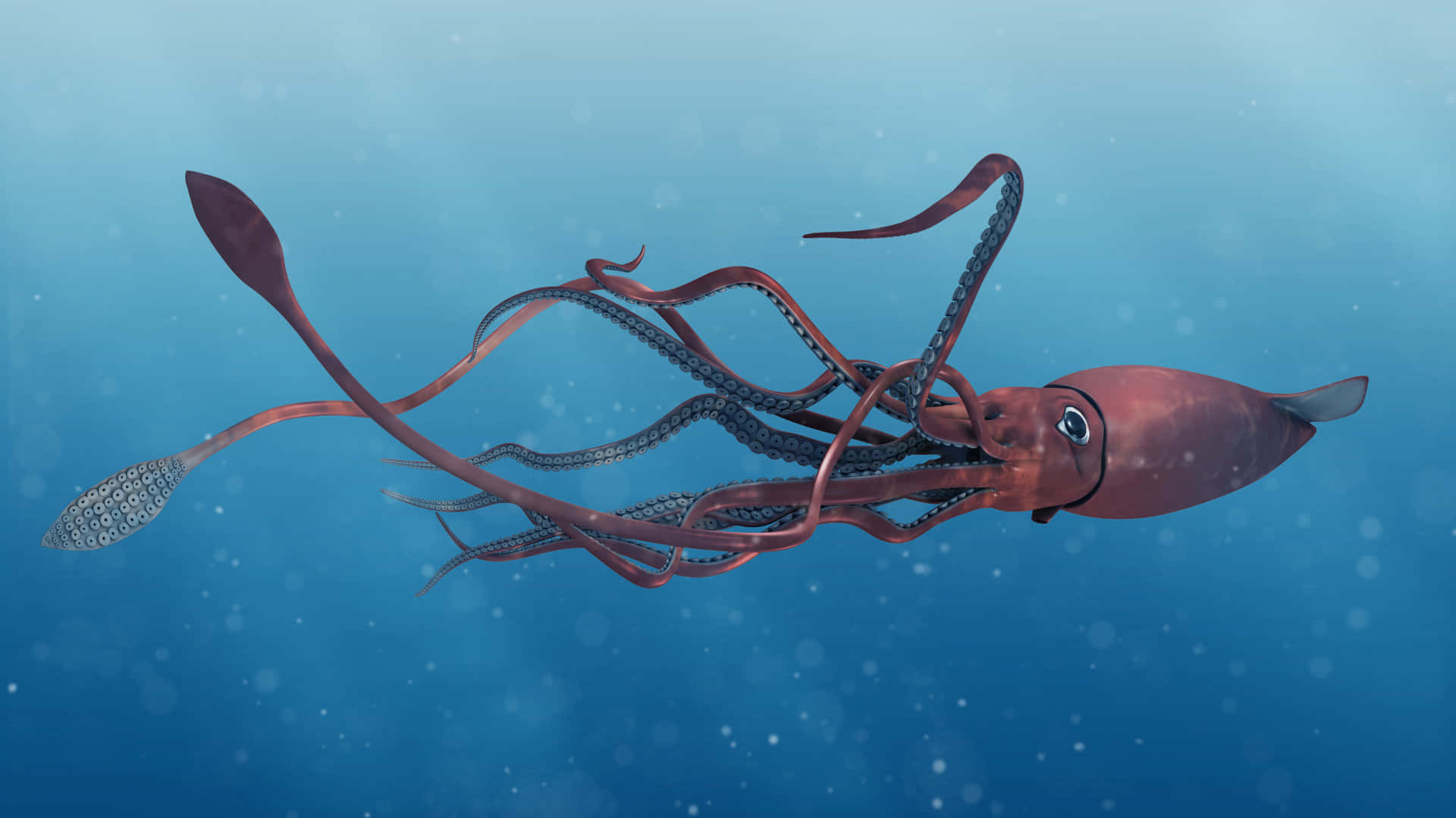 Giant Squid 桌布 壁紙 — 一幅詳細的數位插圖，描繪一隻略帶紅色的魷魚在陽光照耀的藍色海水中優雅地游動，周圍有浮游粒子。