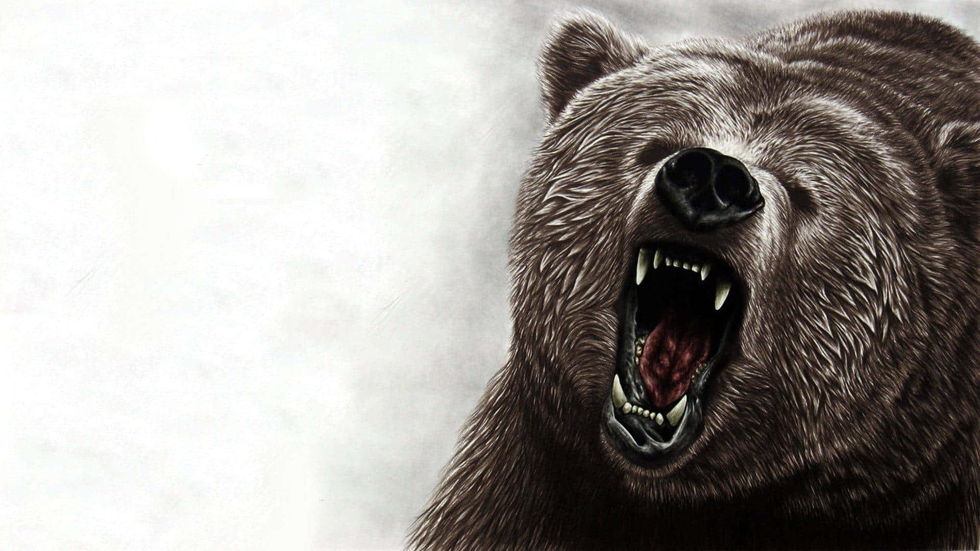 Kodiak Bear 桌布 壁紙 — 一幅詳細的數位插圖中，一頭兇猛的棕熊張開利齒，在純白背景上咆哮。
