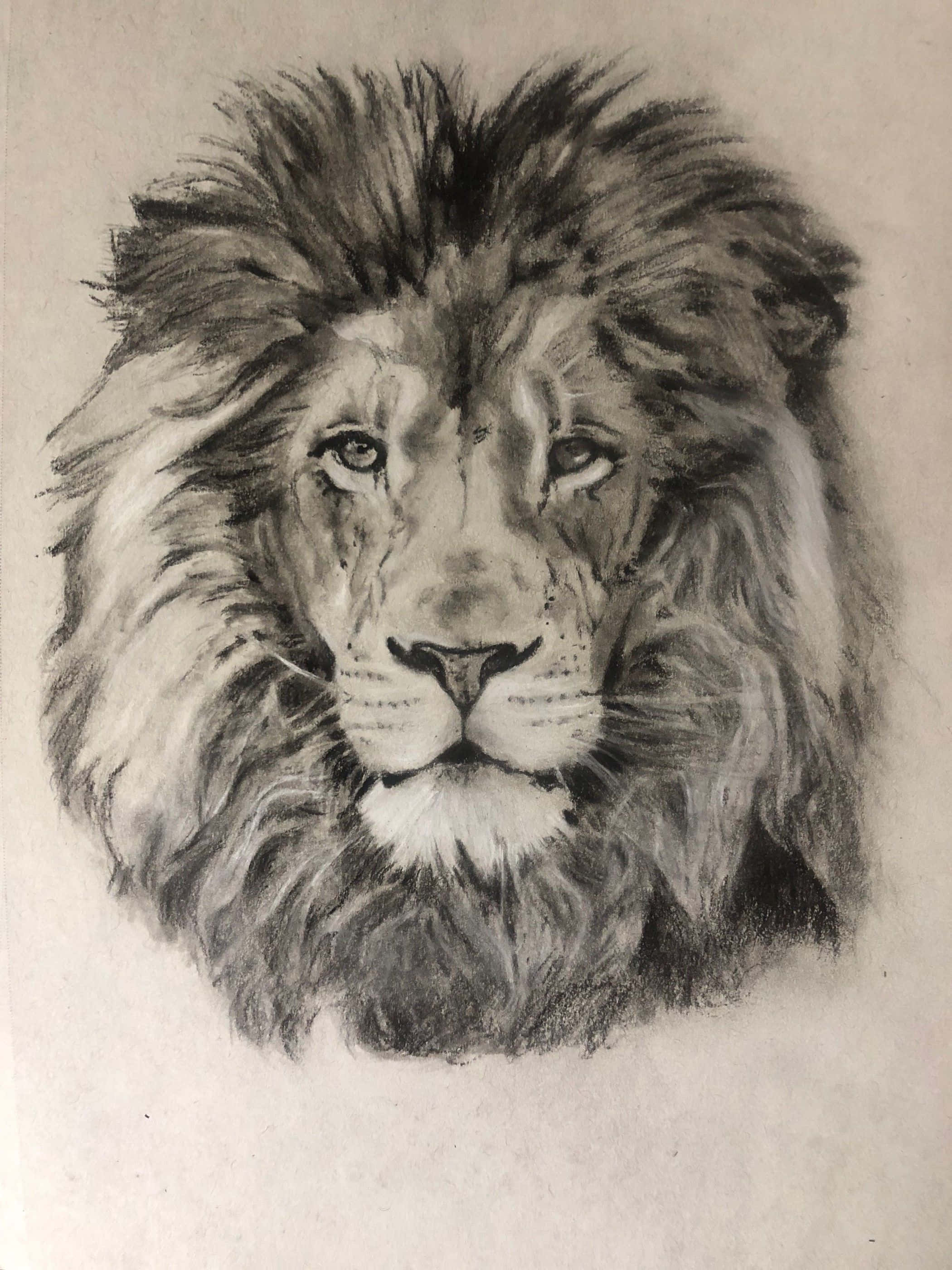 Lion Head 桌布 壁紙 — 一幅詳細的木炭素描，描繪一頭雄獅威嚴的面容，帶有銳利的眼神和濃密的鬃毛。