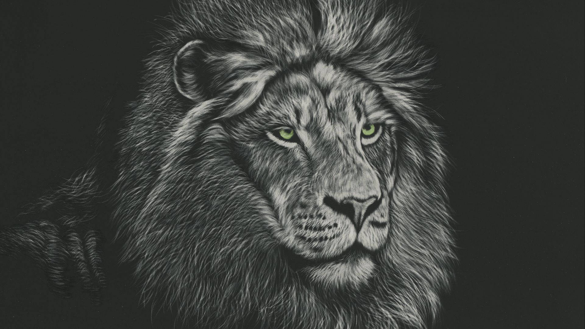 Lion Head 桌布 壁紙 — 一幅詳細的木炭風格插圖，描繪了一隻雄性獅子，擁有銳利的綠色眼睛，背景為深色。