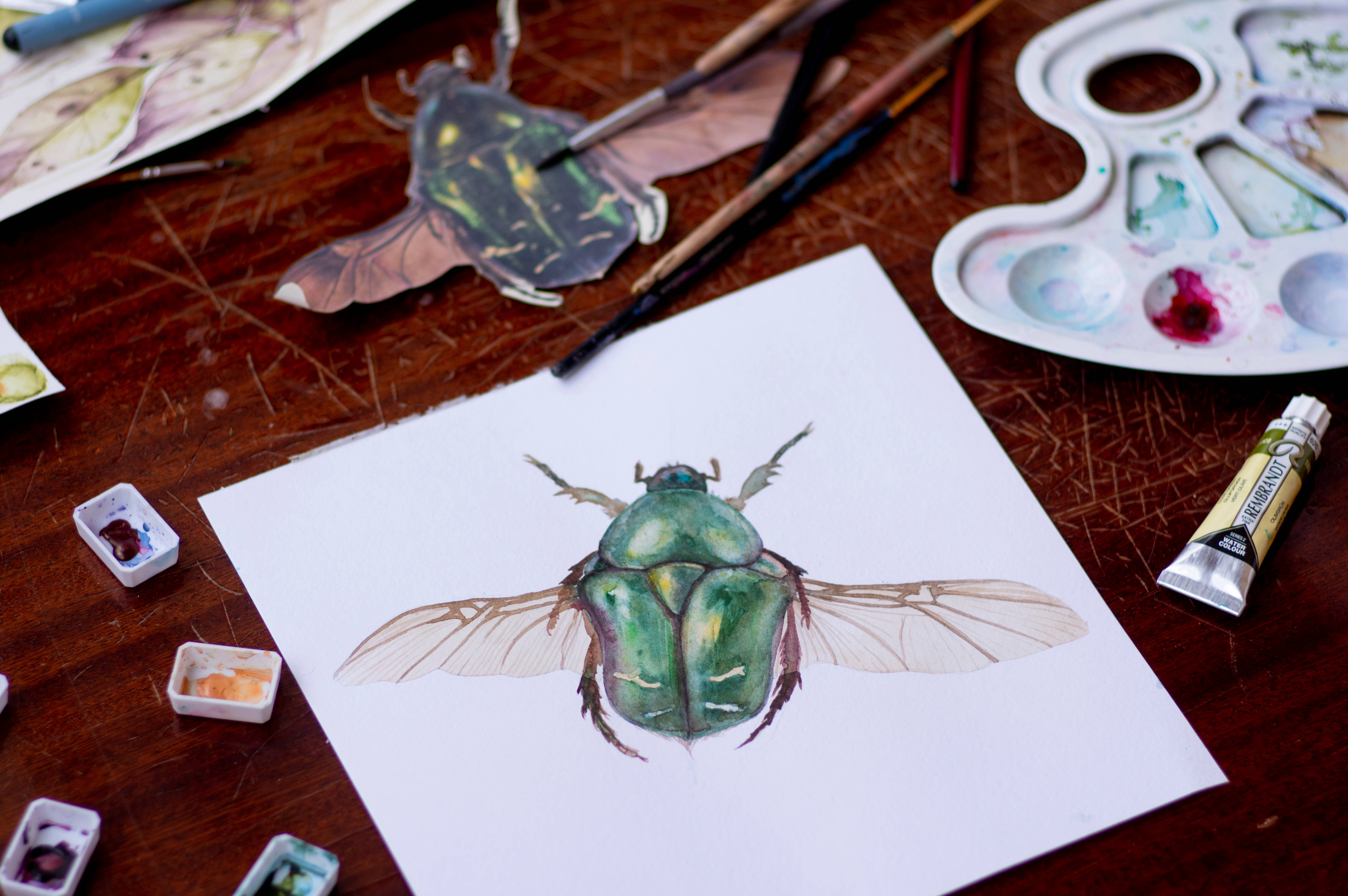 Insect 桌布 壁紙 — 一幅詳細的水彩畫，描繪了一隻展開翅膀的綠色甲蟲，坐在一張被美術用品包圍的木桌上。