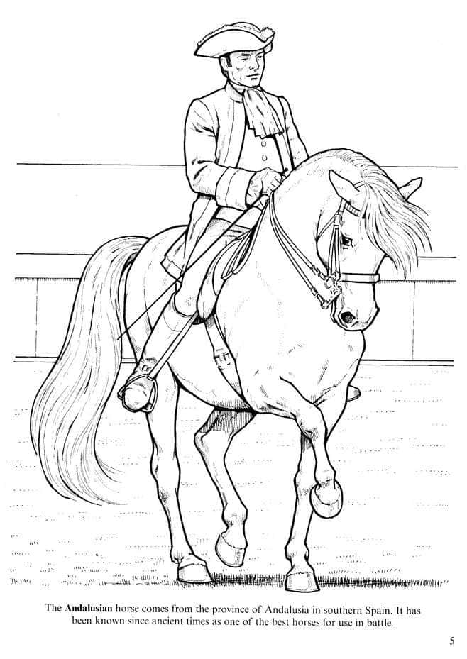 Horse Coloring 桌布 壁紙 — 一幅詳細的線條畫，描繪一位穿著歷史服飾的騎手騎著安達盧西亞馬在圍欄競技場中。