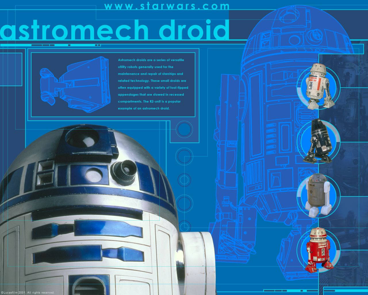 機器人 桌布 壁紙 — 一幅詳細的藍圖風格插圖，描繪了R2-D2和其他宇航技工機器人，背景為鮮豔的藍色技術背景。