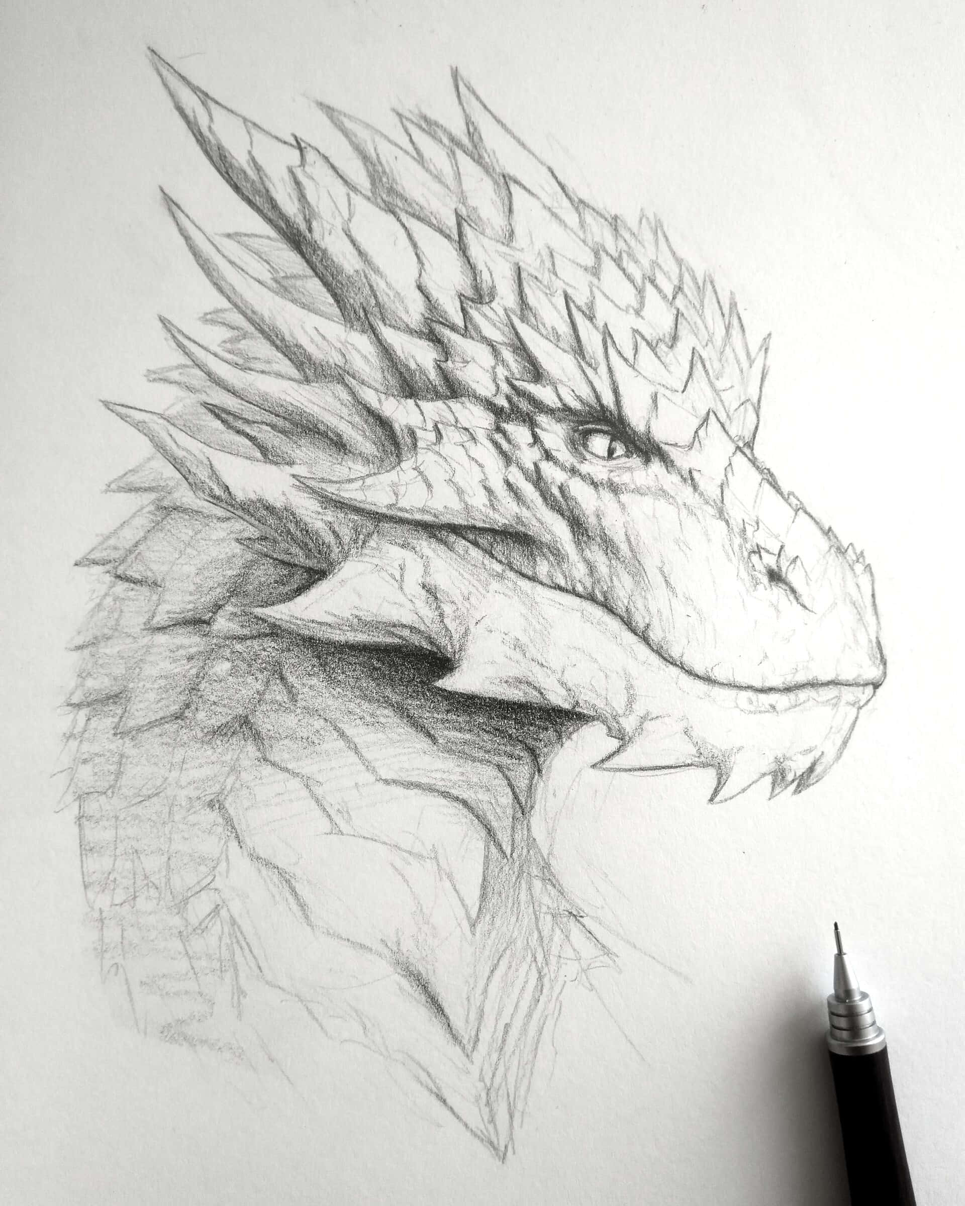龍 桌布 壁紙 — 一幅詳細的鉛筆素描，描繪一個兇猛的龍頭，帶有尖銳的棘刺和強烈的眼神，畫在白紙上，旁邊有一支筆。