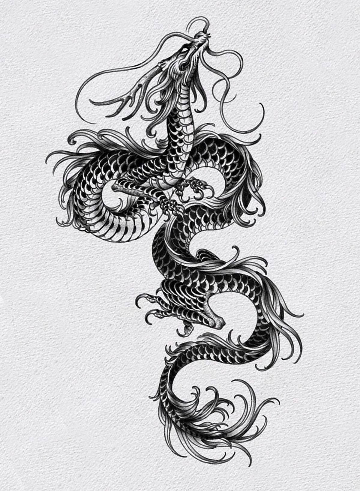 Japanese Dragon Tattoo 桌布 壁紙 — 一幅詳細的黑白墨水畫，描繪了一條盤繞的龍，帶有飄逸的鬃毛和鱗片，繪於有紋理的紙上。