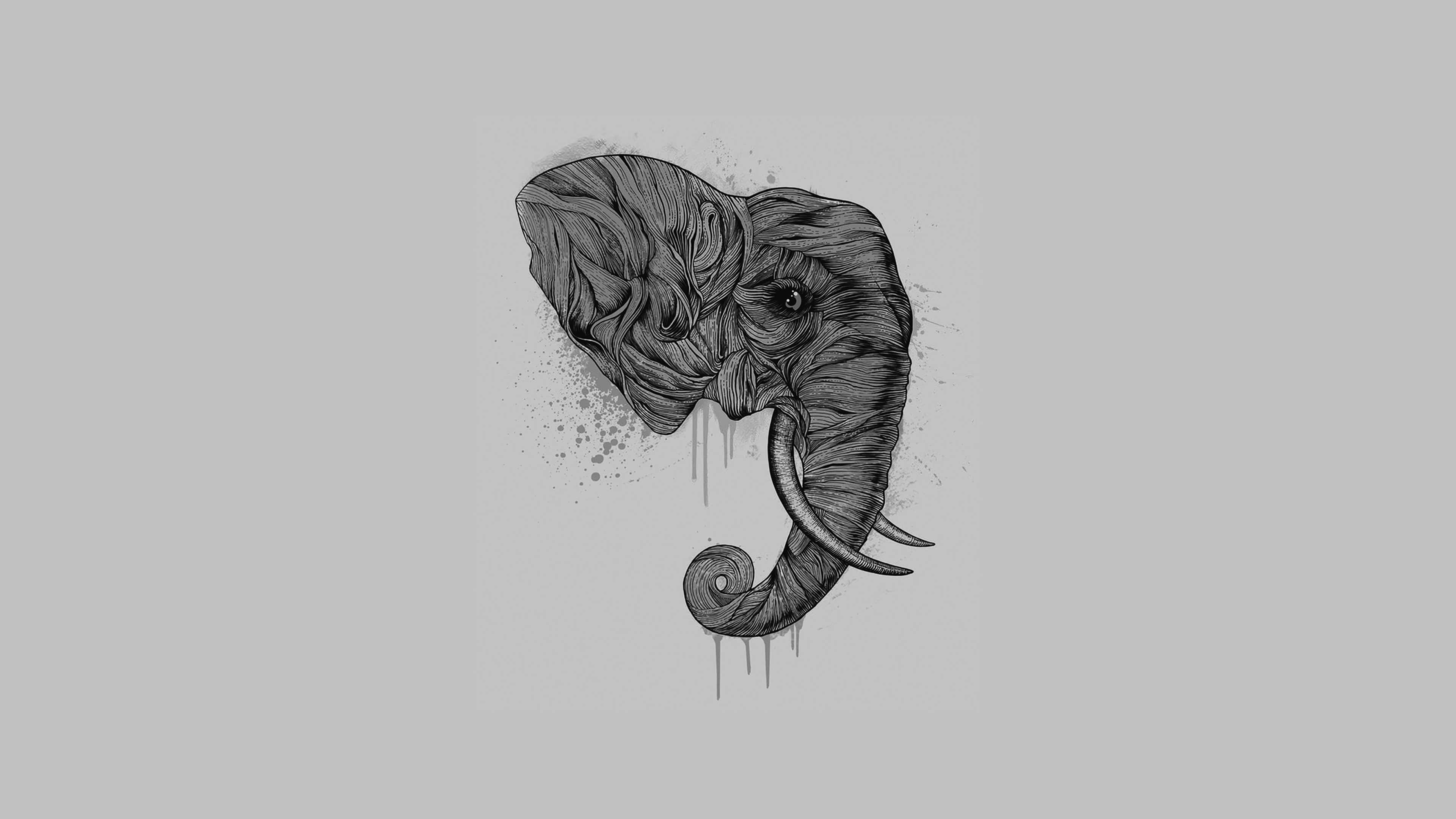 Elephant Laptop 桌布 壁紙 — 一幅詳細的黑白大象頭部插圖，具有紋理皮膚和滴墨效果，背景為灰色。