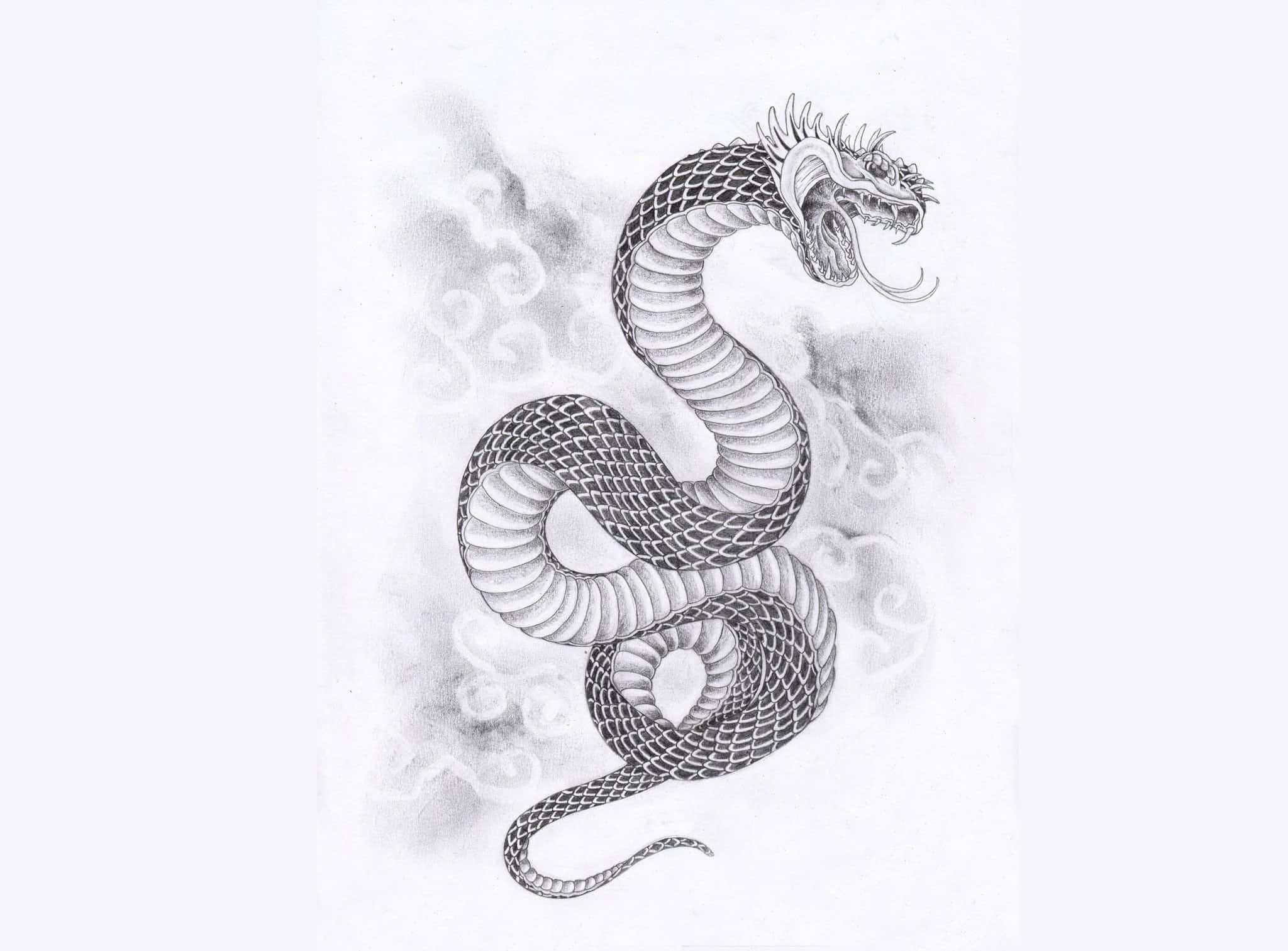 Japanese Tattoo 桌布 壁紙 — 一幅詳細的黑白插圖，描繪一條盤繞的龍，張開嘴巴，背後有流動的雲。