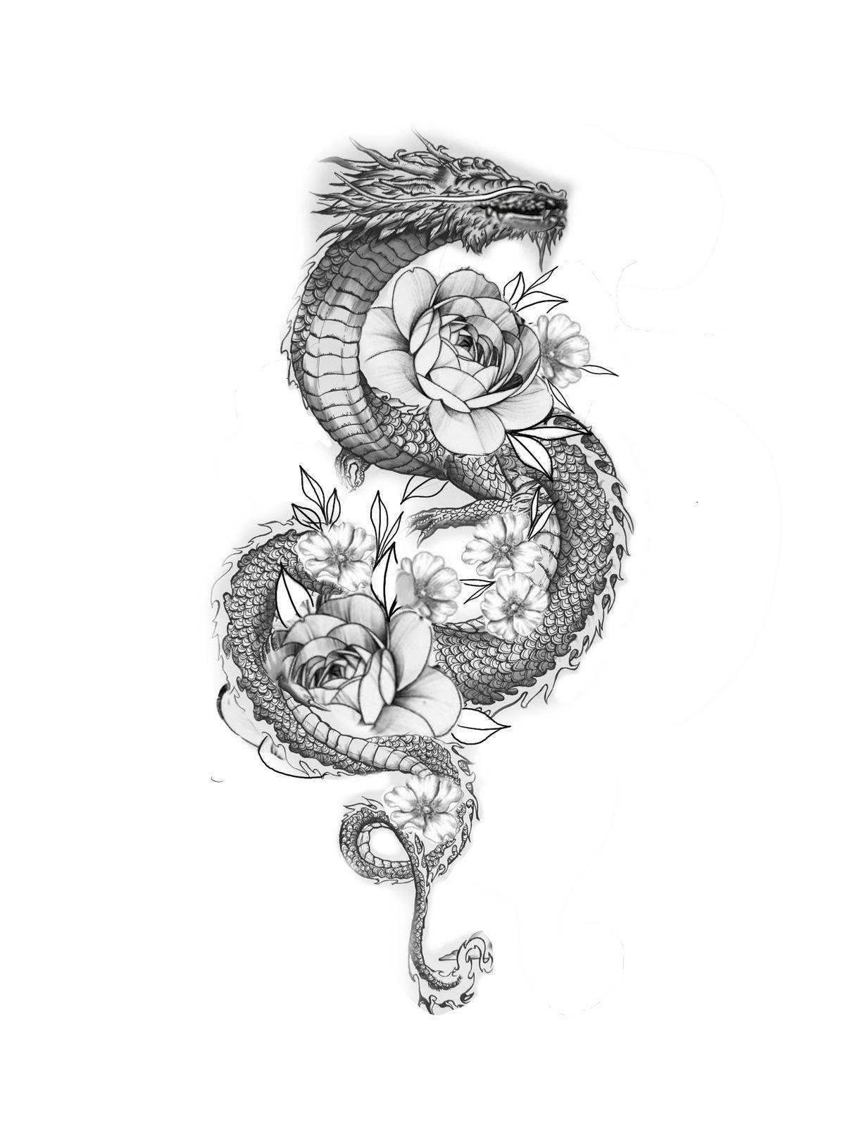 Japanese Dragon Tattoo 桌布 壁紙 — 一幅詳細的黑白插圖，描繪一條盤繞的龍與盛開的玫瑰和櫻花交織在一起。