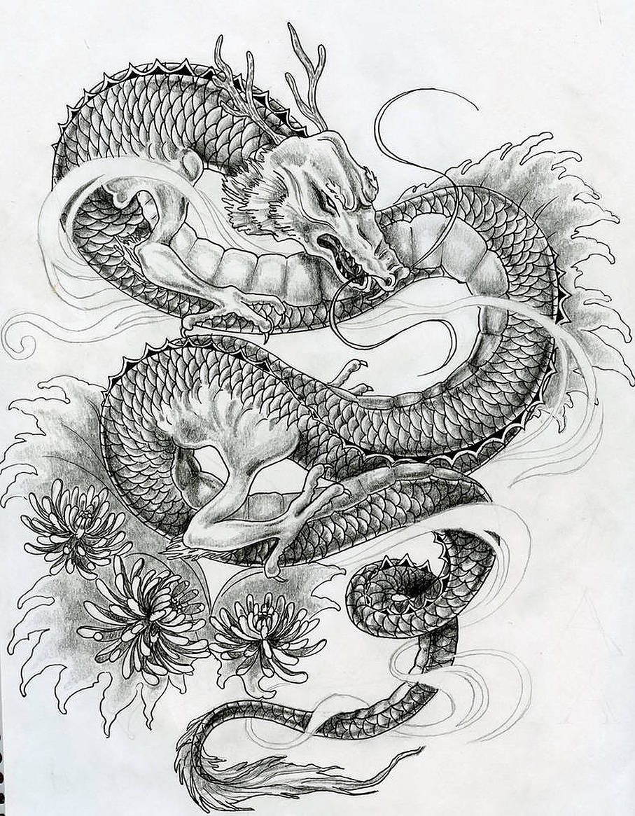 Japanese Dragon Tattoo 桌布 壁紙 — 一幅詳細的黑白插圖，描繪了一條盤繞的龍，帶有複雜的鱗片和飄逸的鬃毛，周圍環繞著菊花。